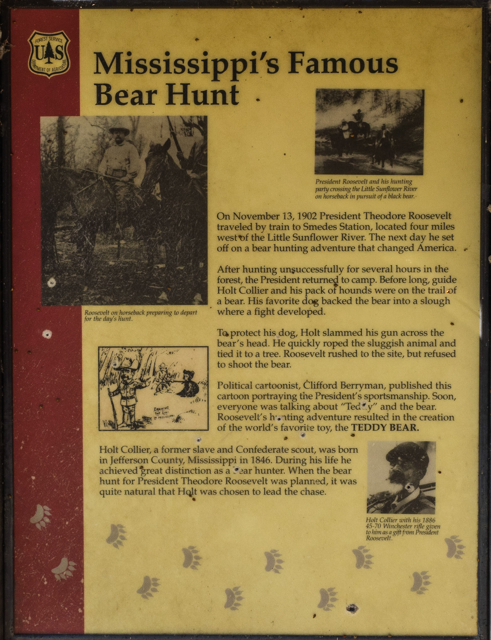 Sunflower River in Panther Burn Swamp