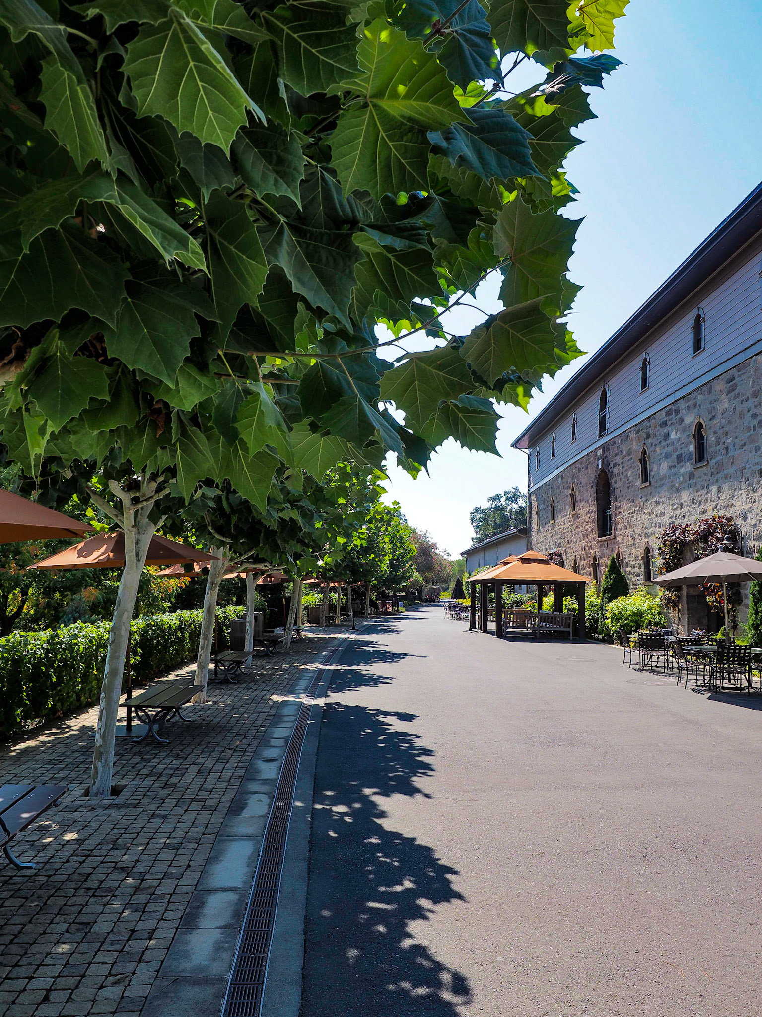 Beringer Winery - St. Helena, CA
