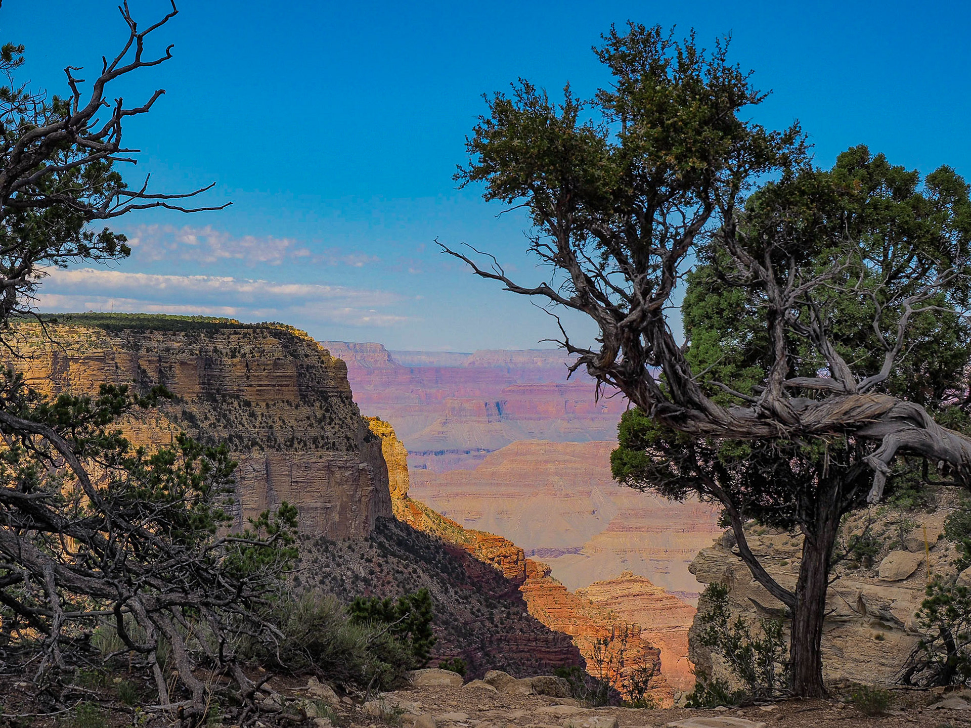 Grand Canyon, AZ - South Rim
