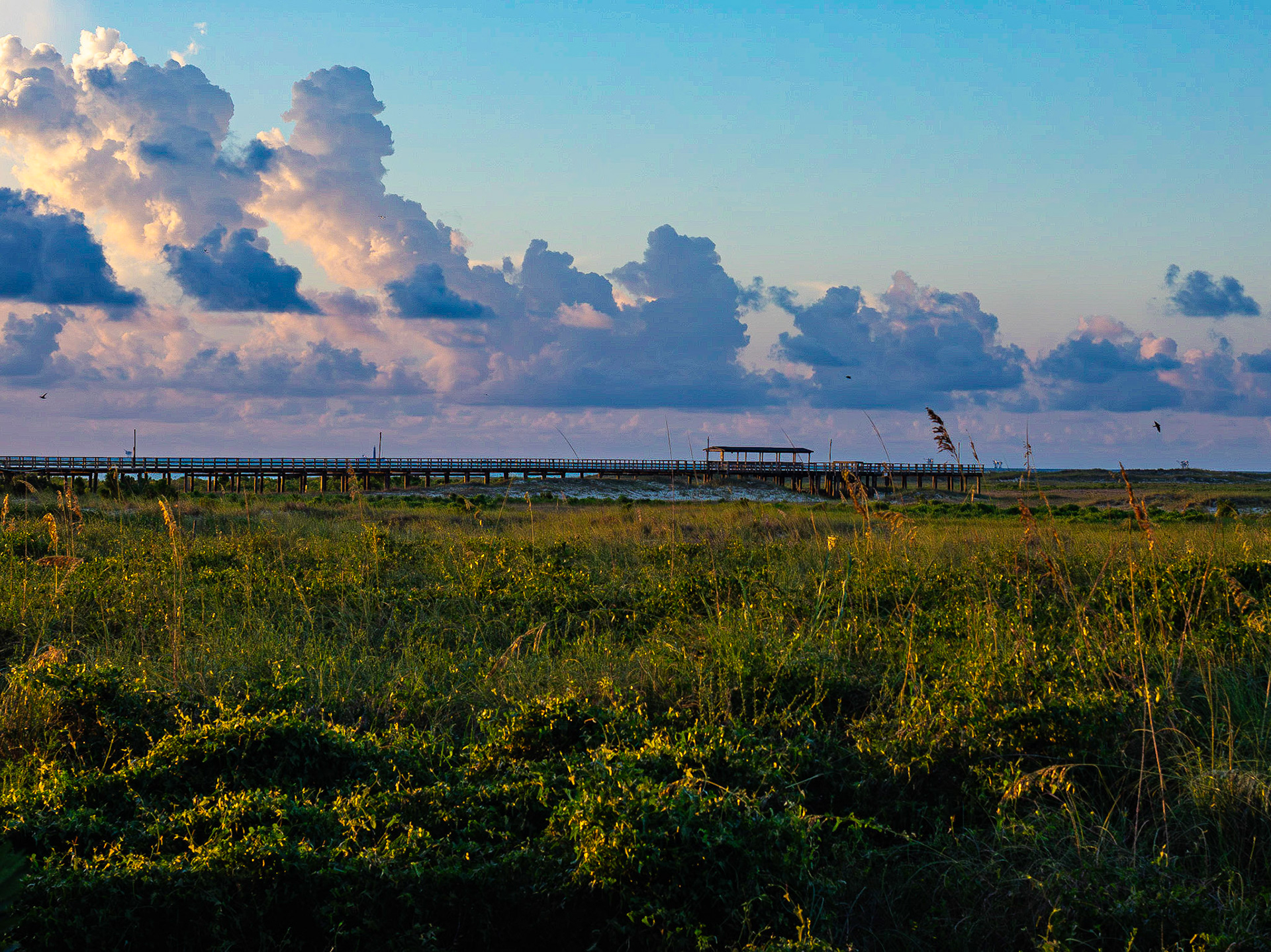 Panama City - Seaside - Dauphin Island
