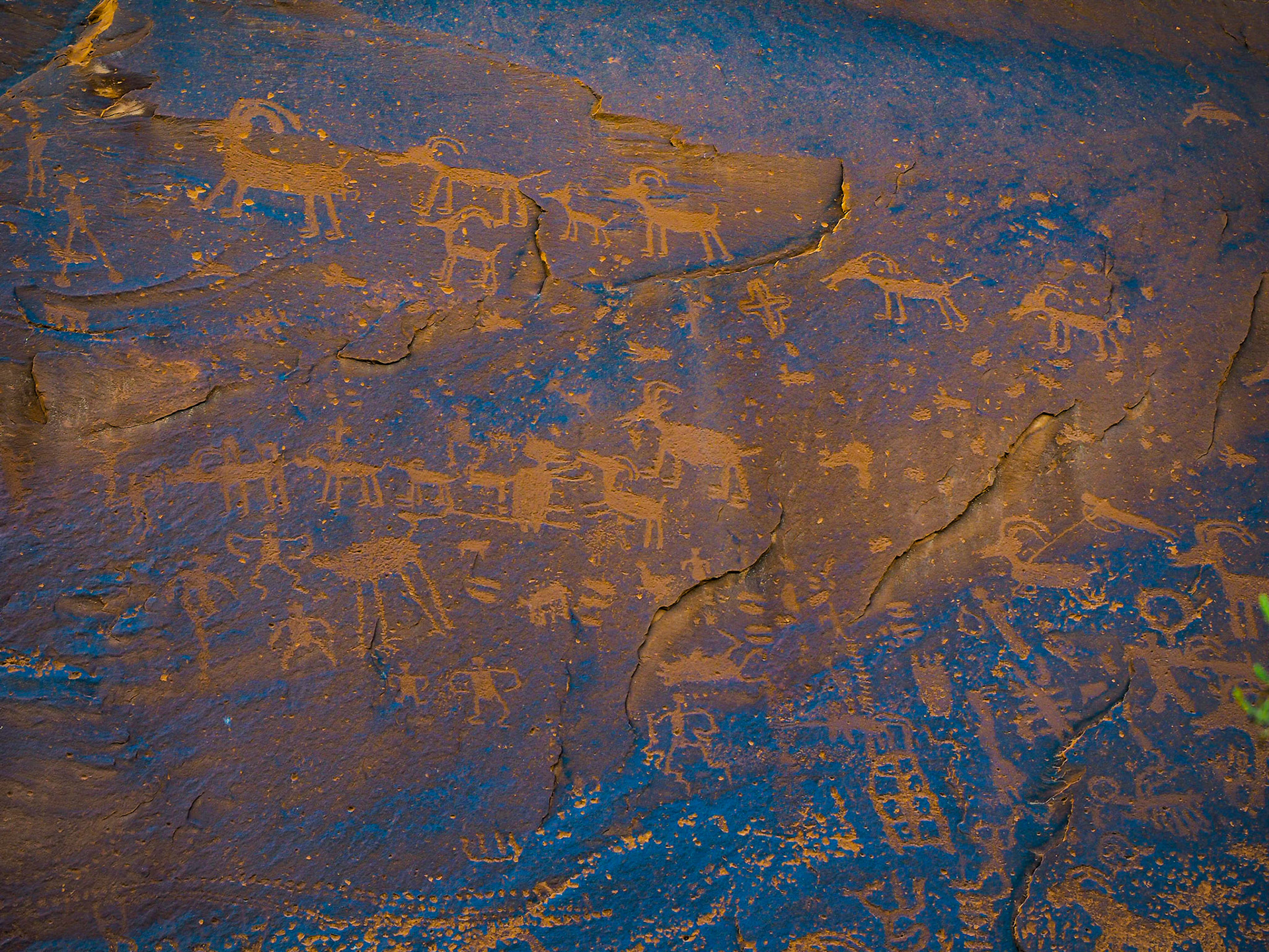 Petroglyphs near San Juan River, Bluff UT