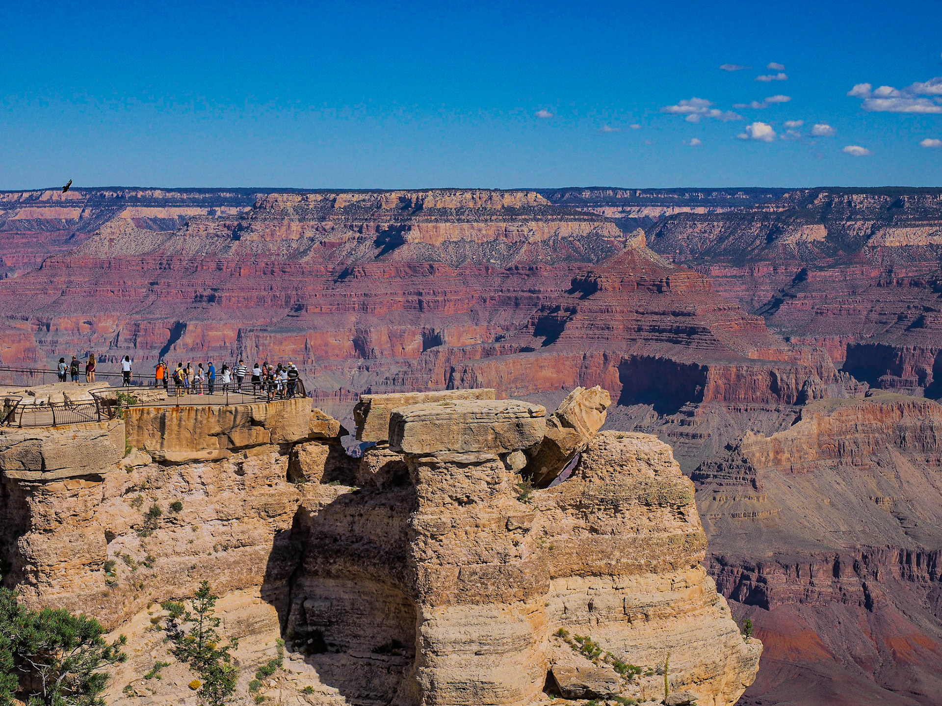 Grand Canyon, AZ - South Rim