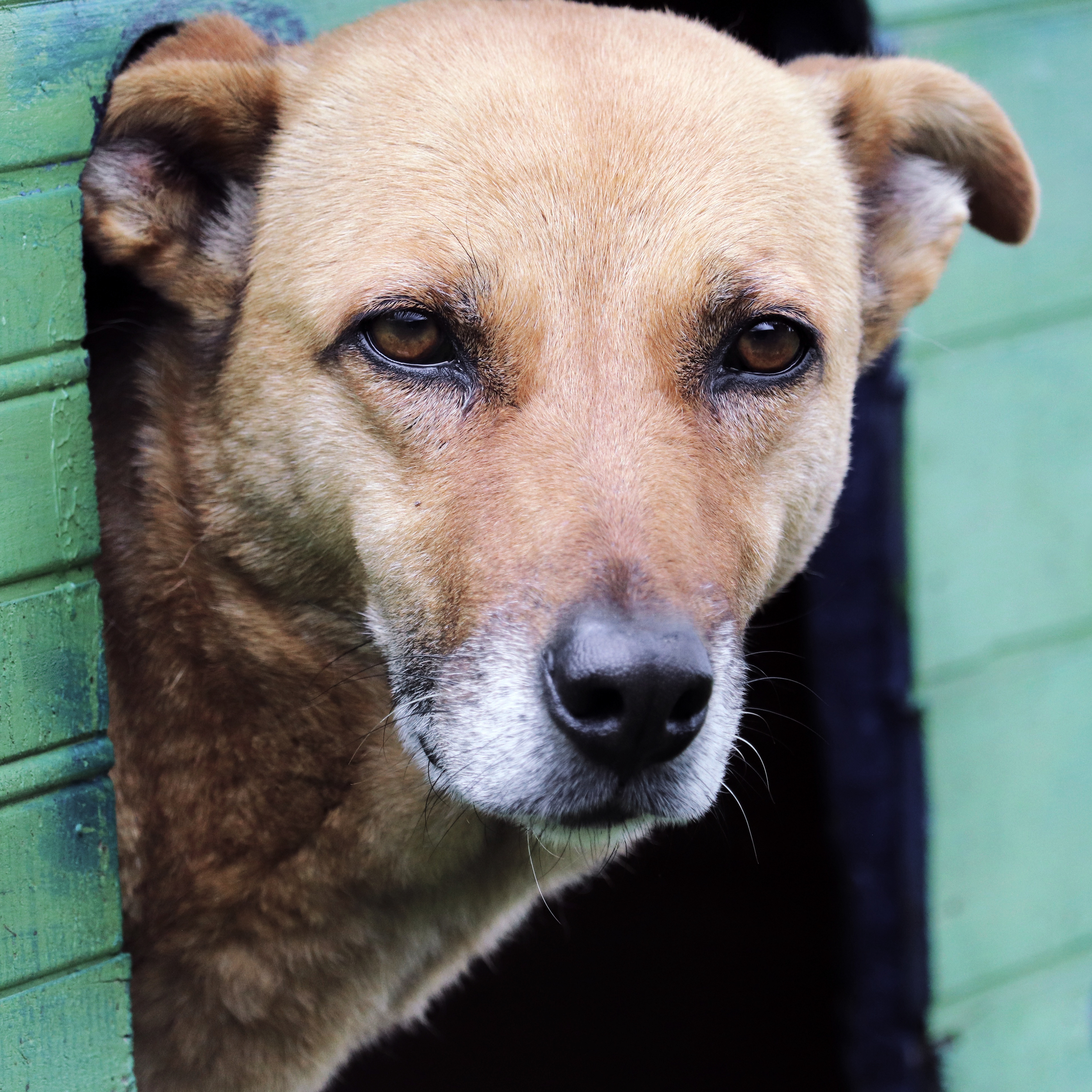 Nano. Foto: María Camila Morales