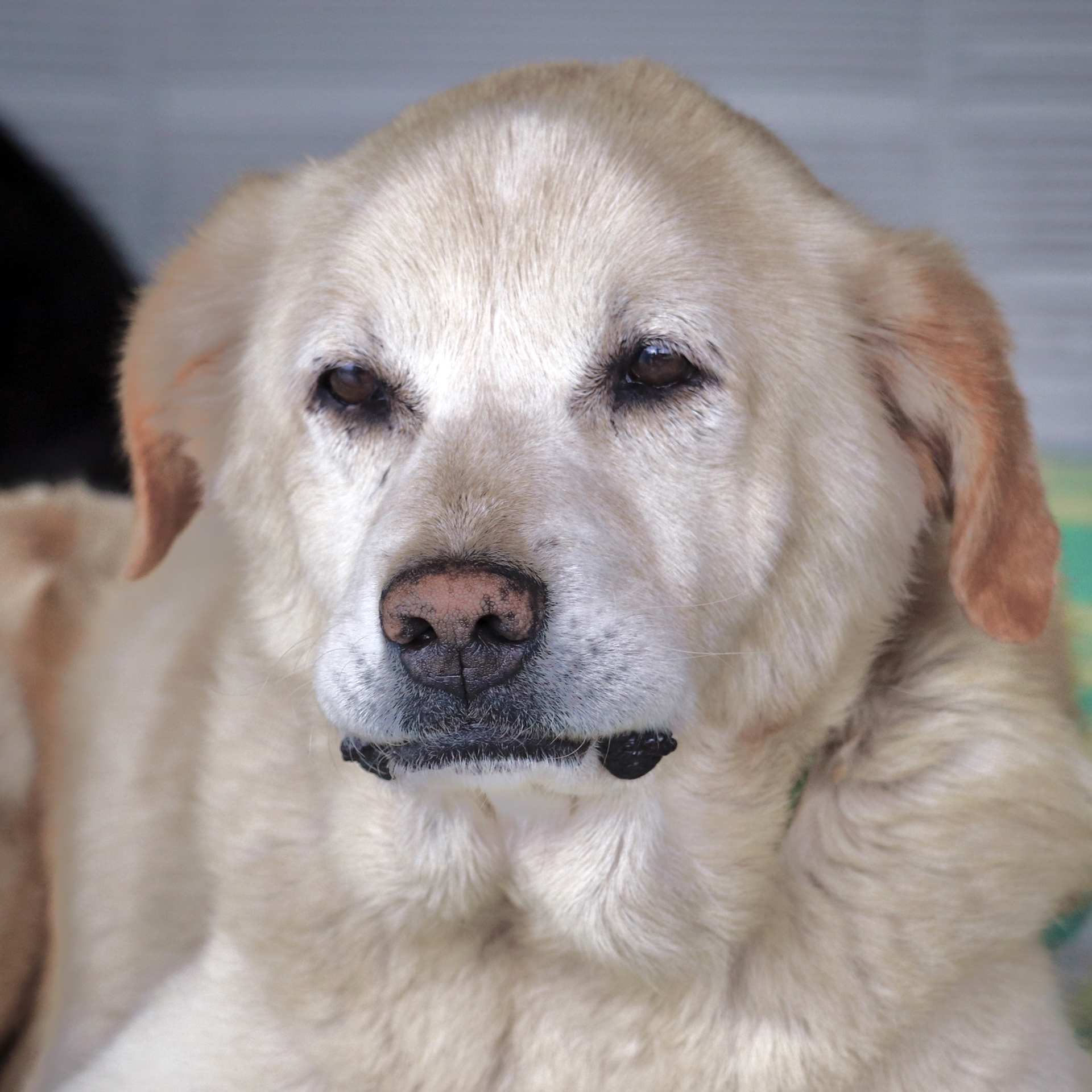 Sol. Foto: María Camila Morales