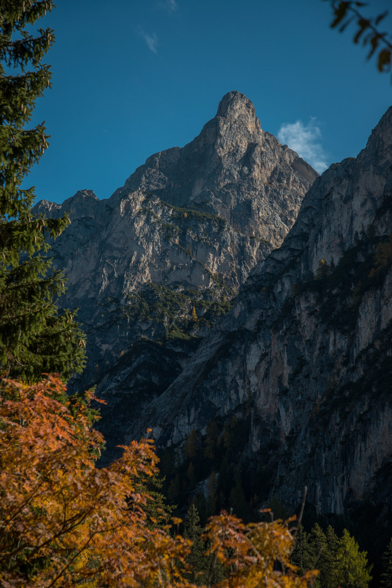 Automne