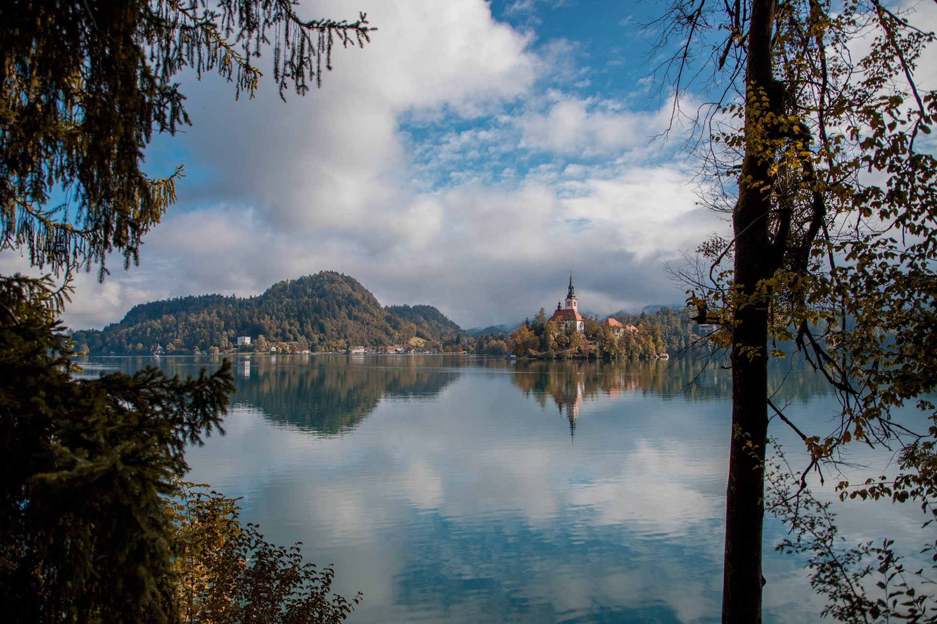 Bled
