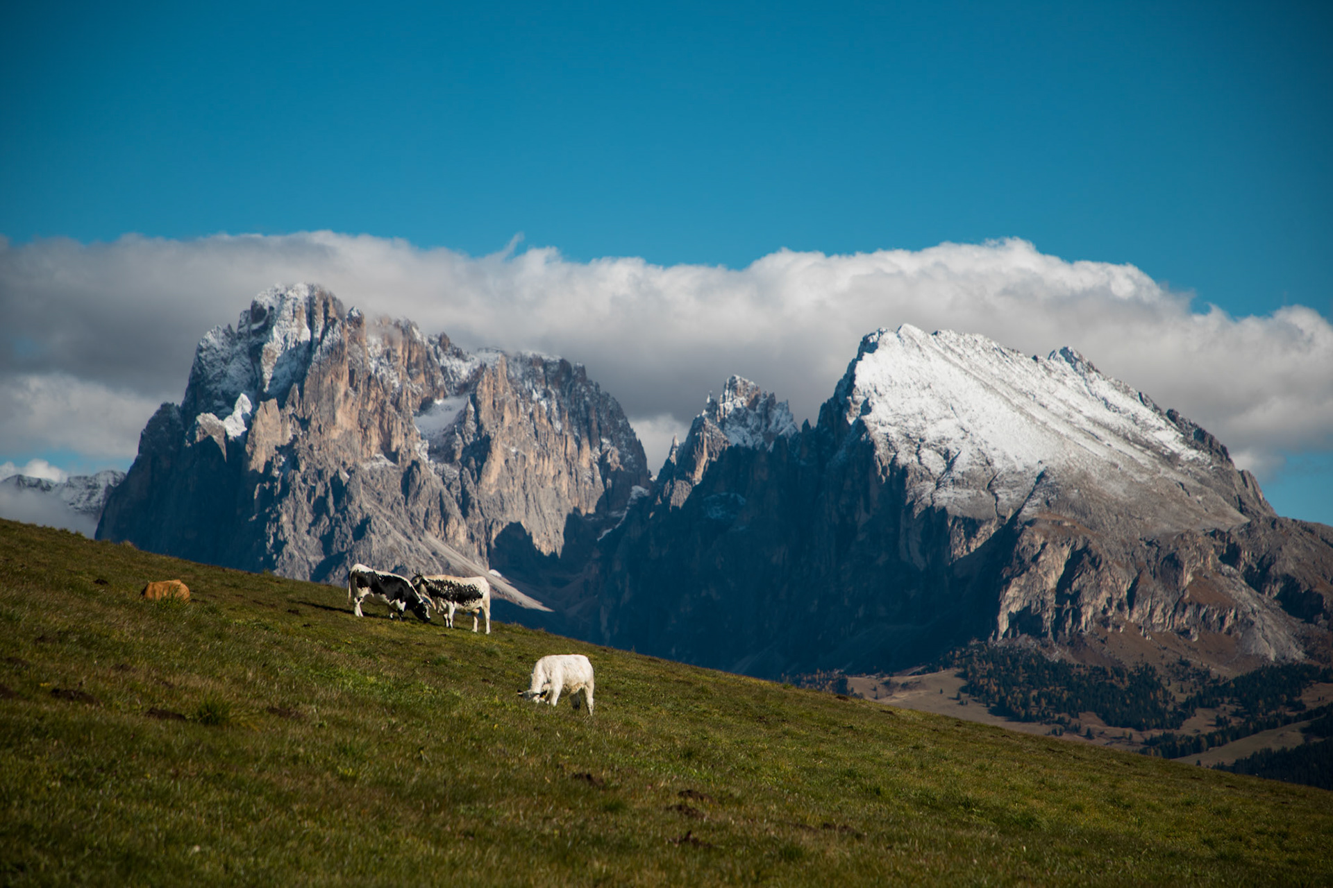 Alpe di Siusi II