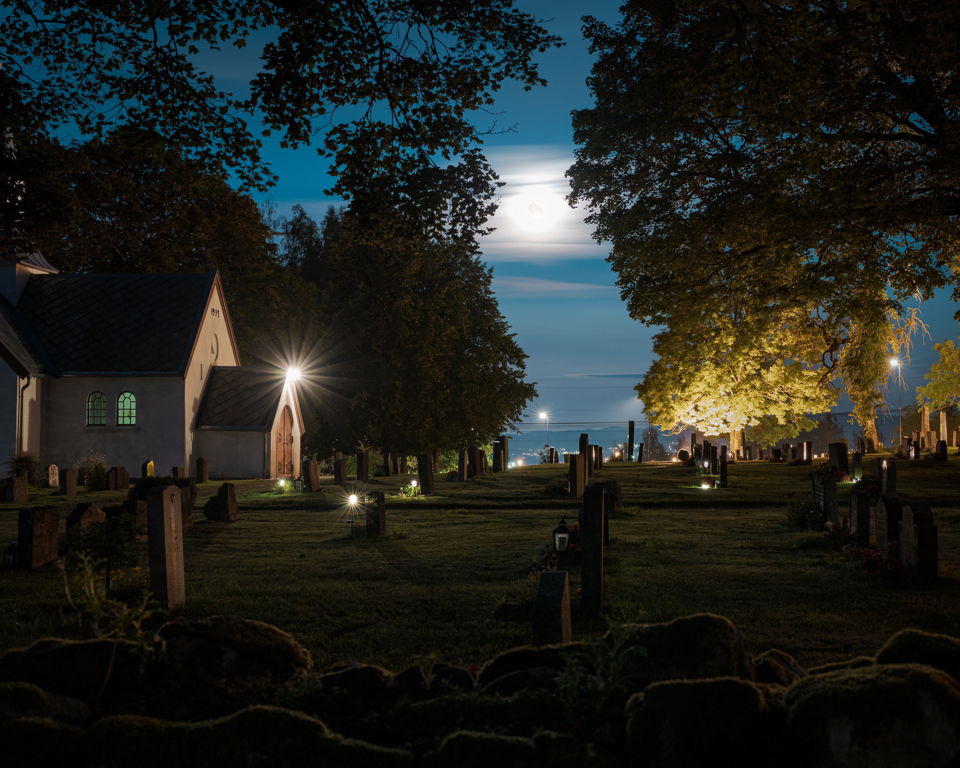 Moonlit Silence