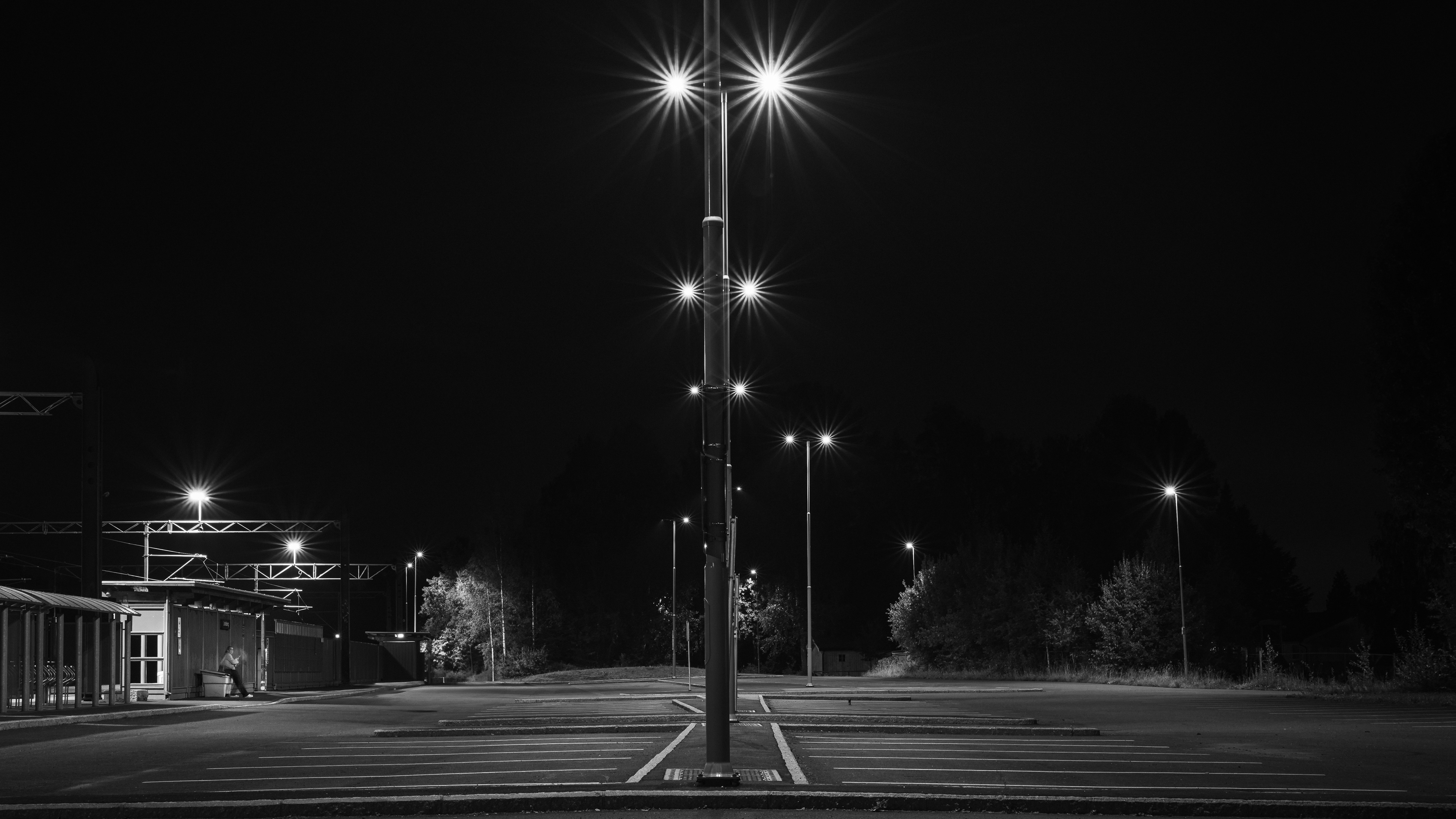 Solitary Watcher