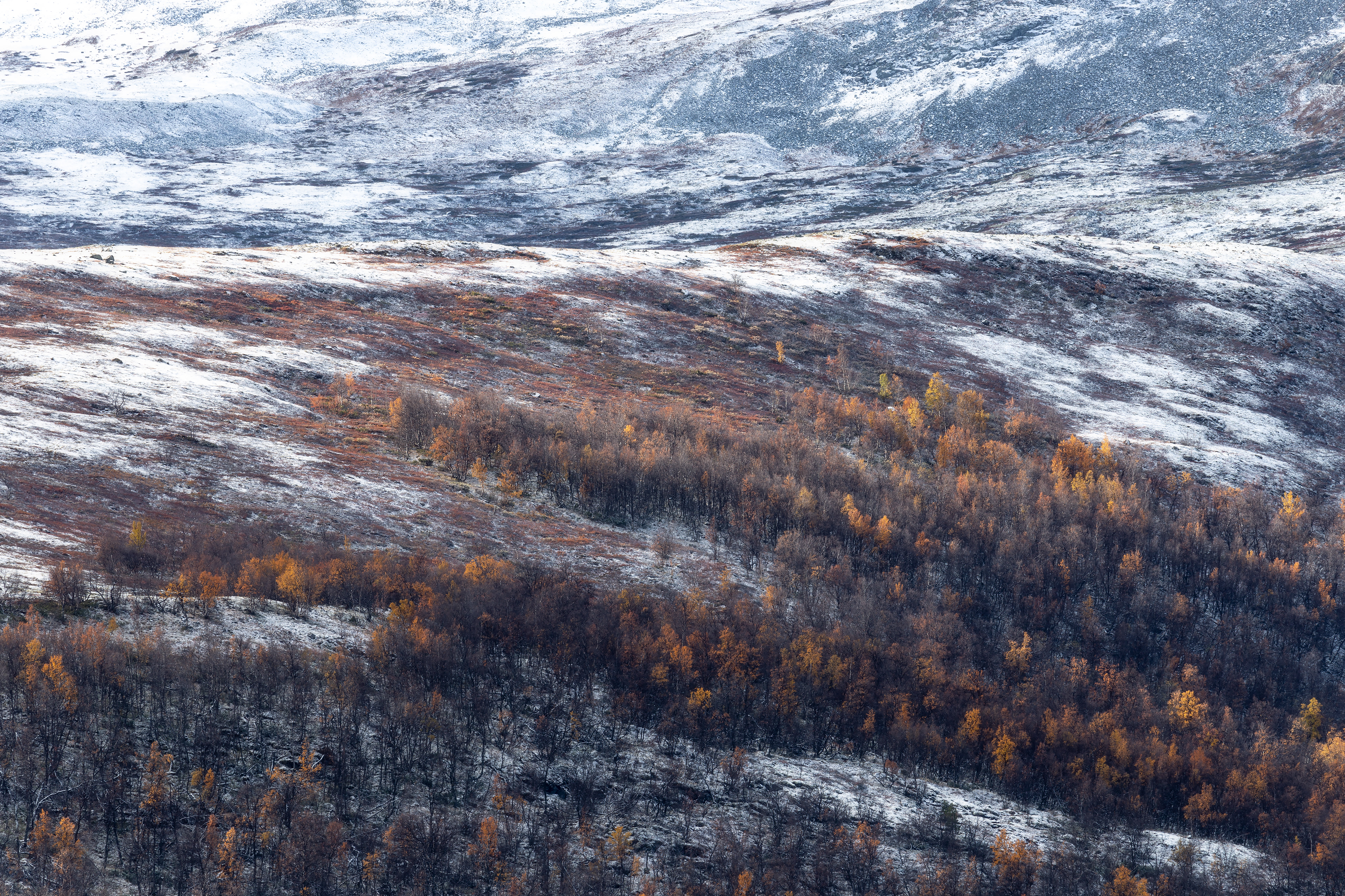 My Way or the Norway