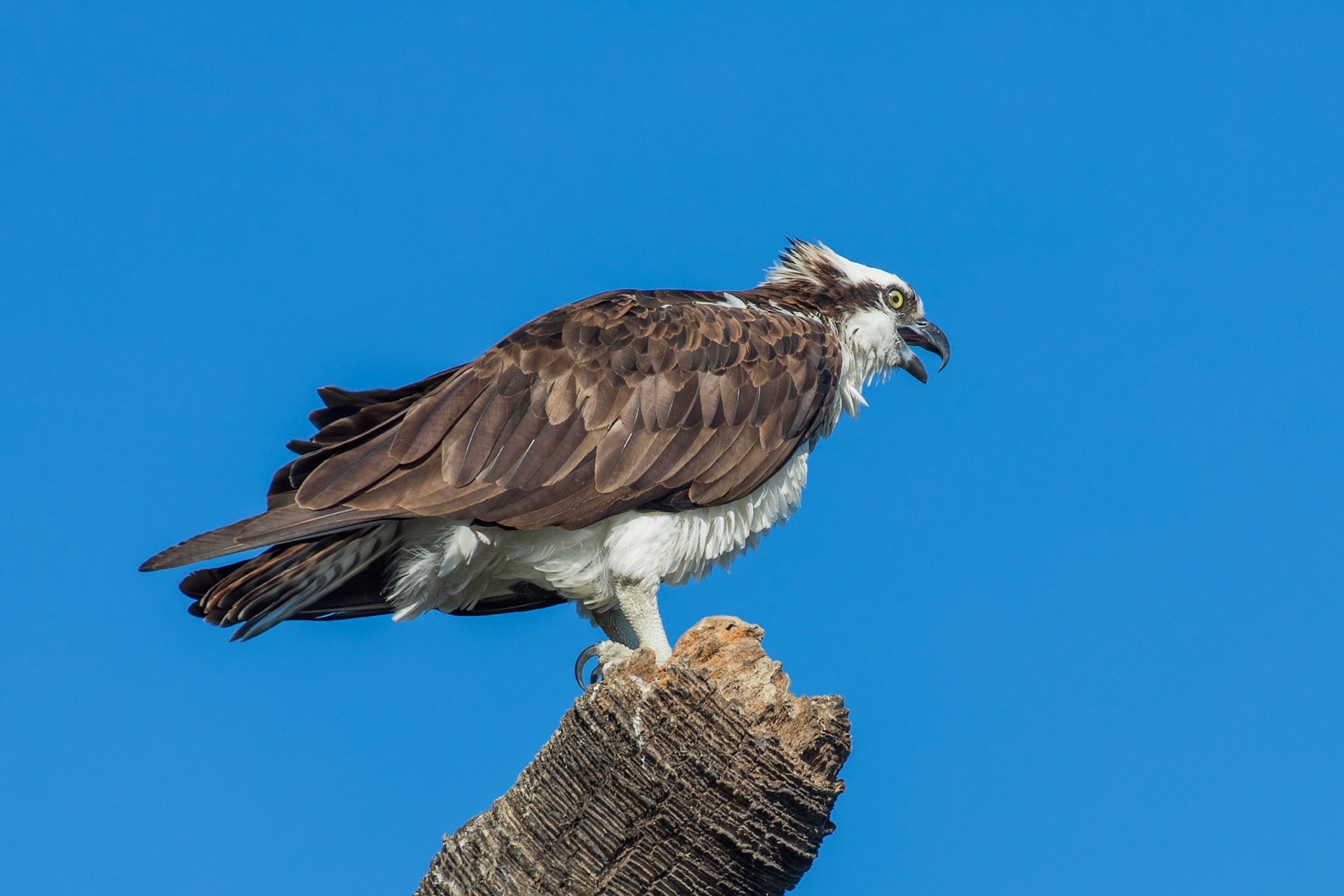 Estuary of San Jose Del Cabo