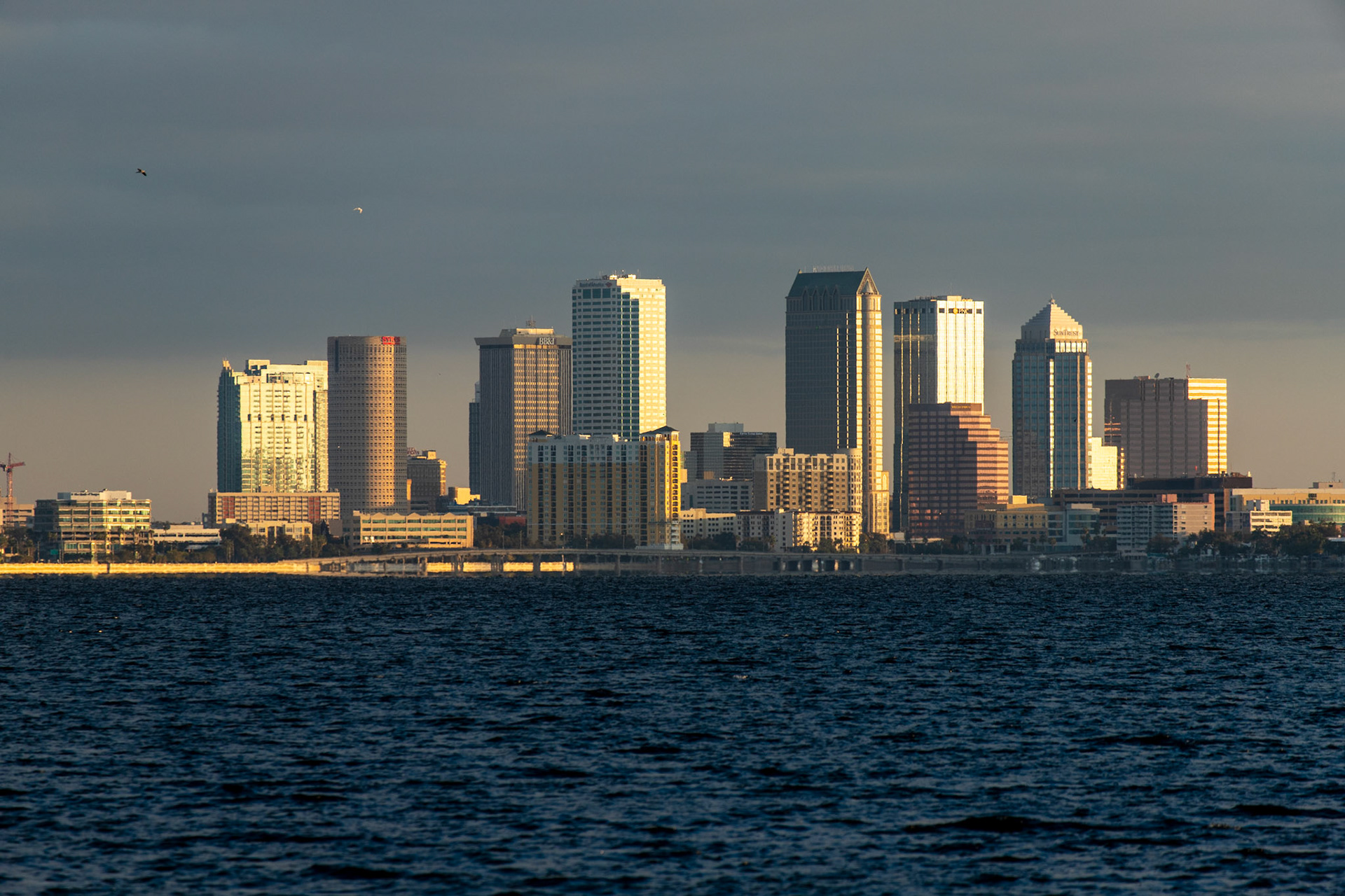 The City of Tampa at sunrise