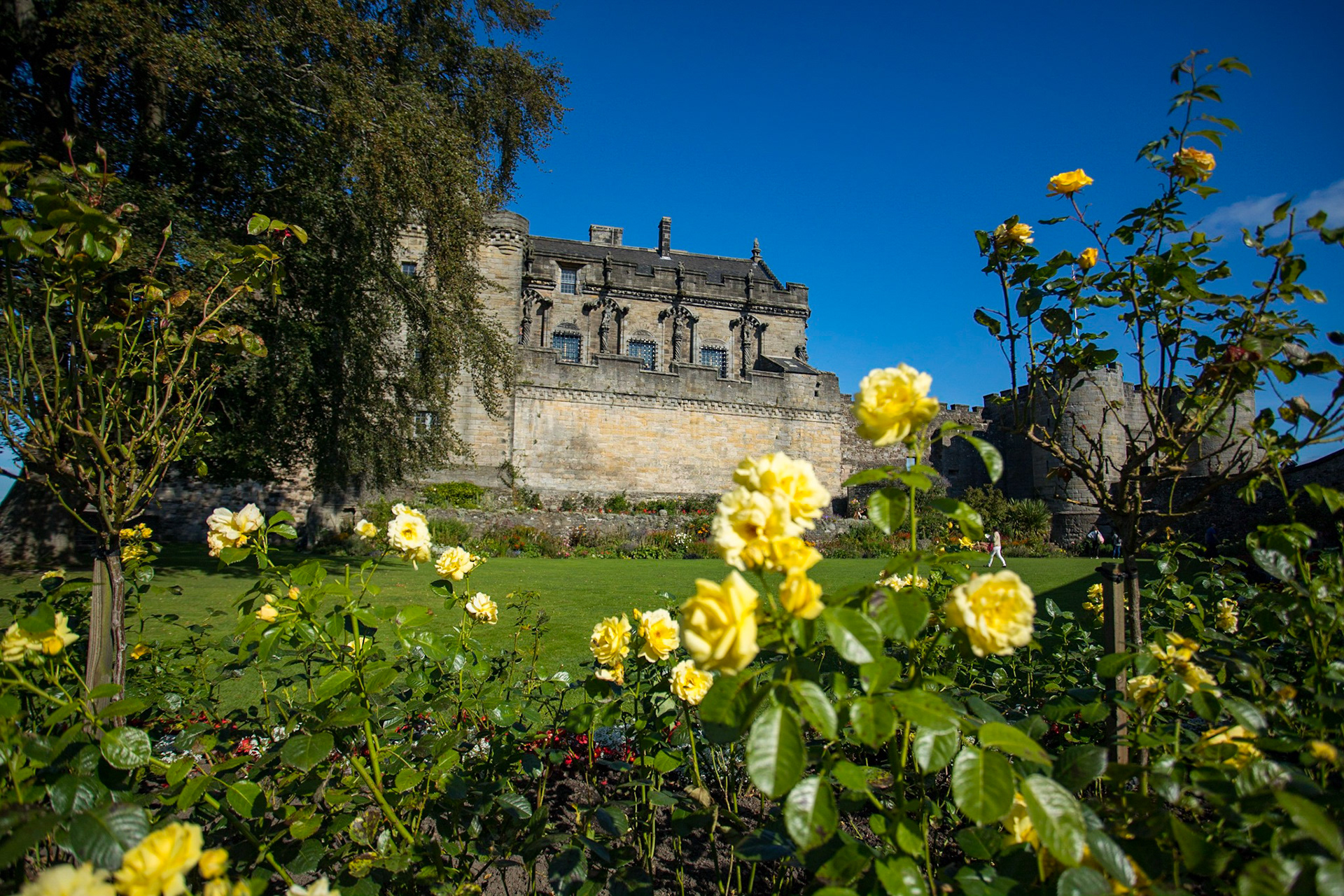Stifling Castle- Queen’s Garden