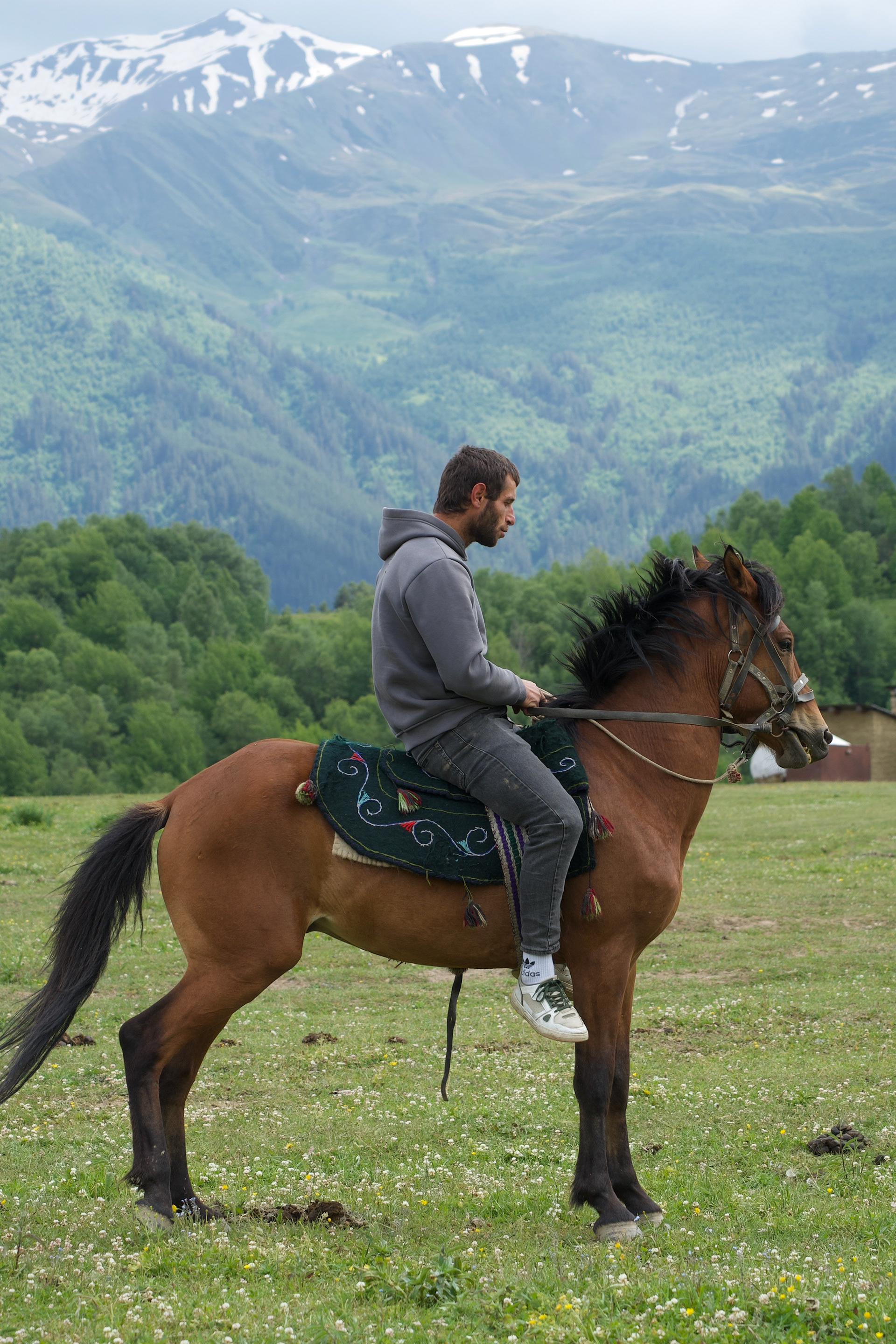 TEMO TSOMIKURIDZE