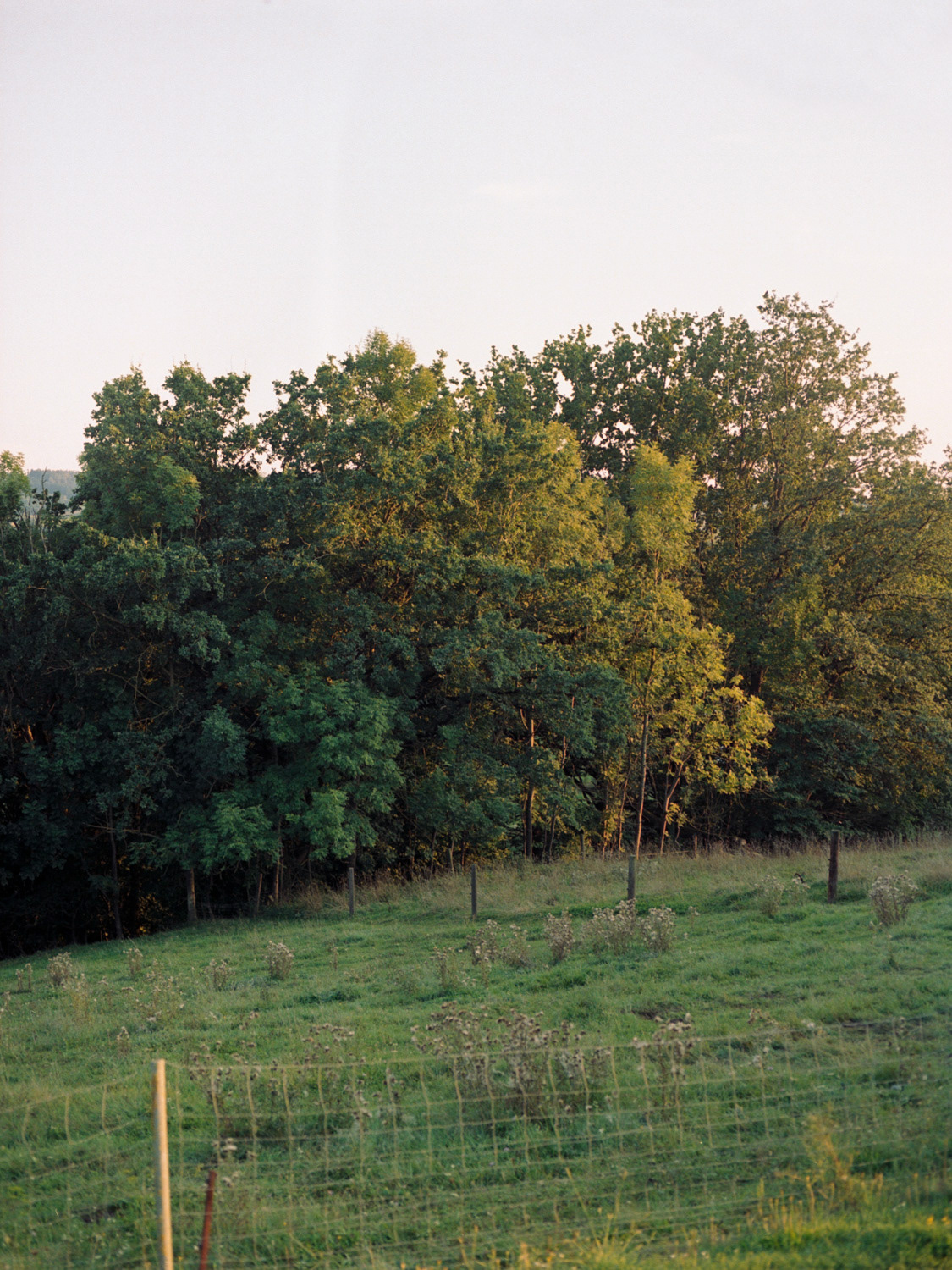 Christoph Maurer Fotograf photographer Dorfen Erding München Munich analoge Fotografie analog photography corporate photography mamiya 645