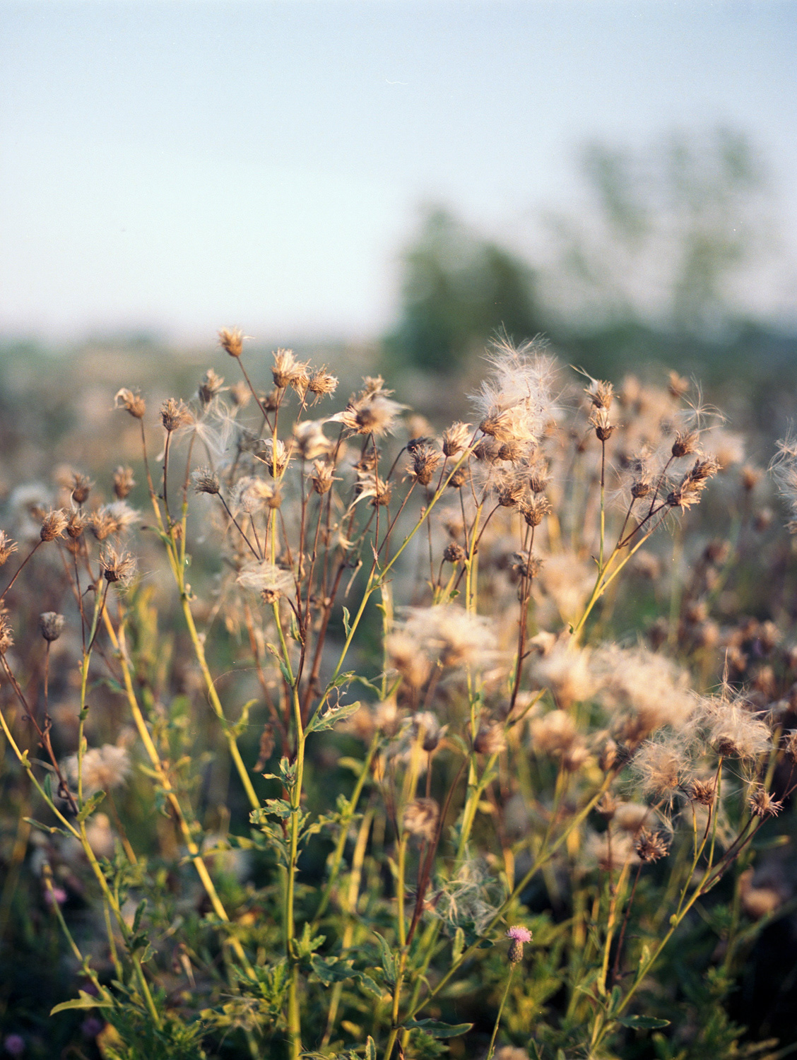 Christoph Maurer Fotograf photographer Dorfen Erding München Munich analoge Fotografie analog photography corporate photography mamiya 645