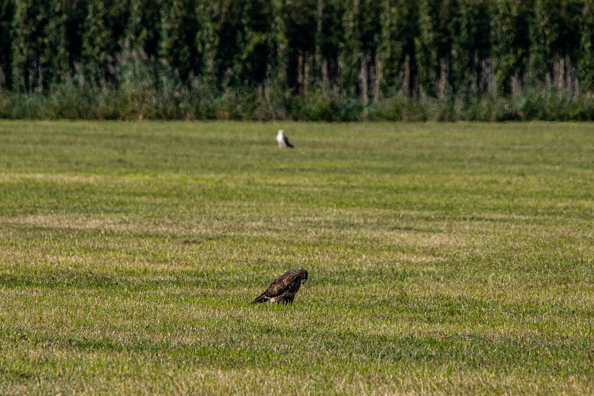 2019 09 20 Middagje rijden