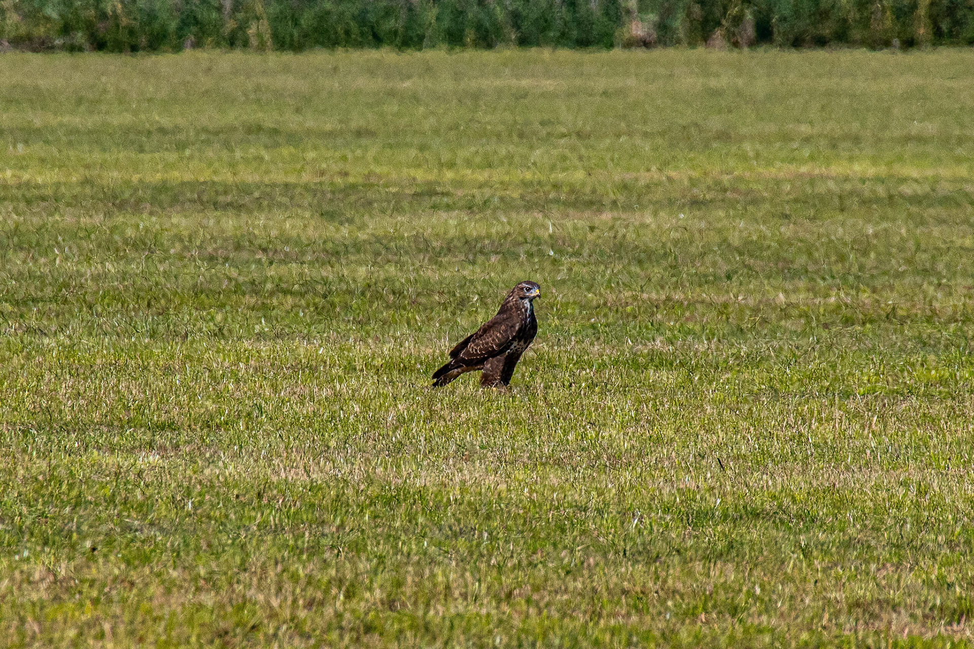 2019 09 20 Middagje rijden