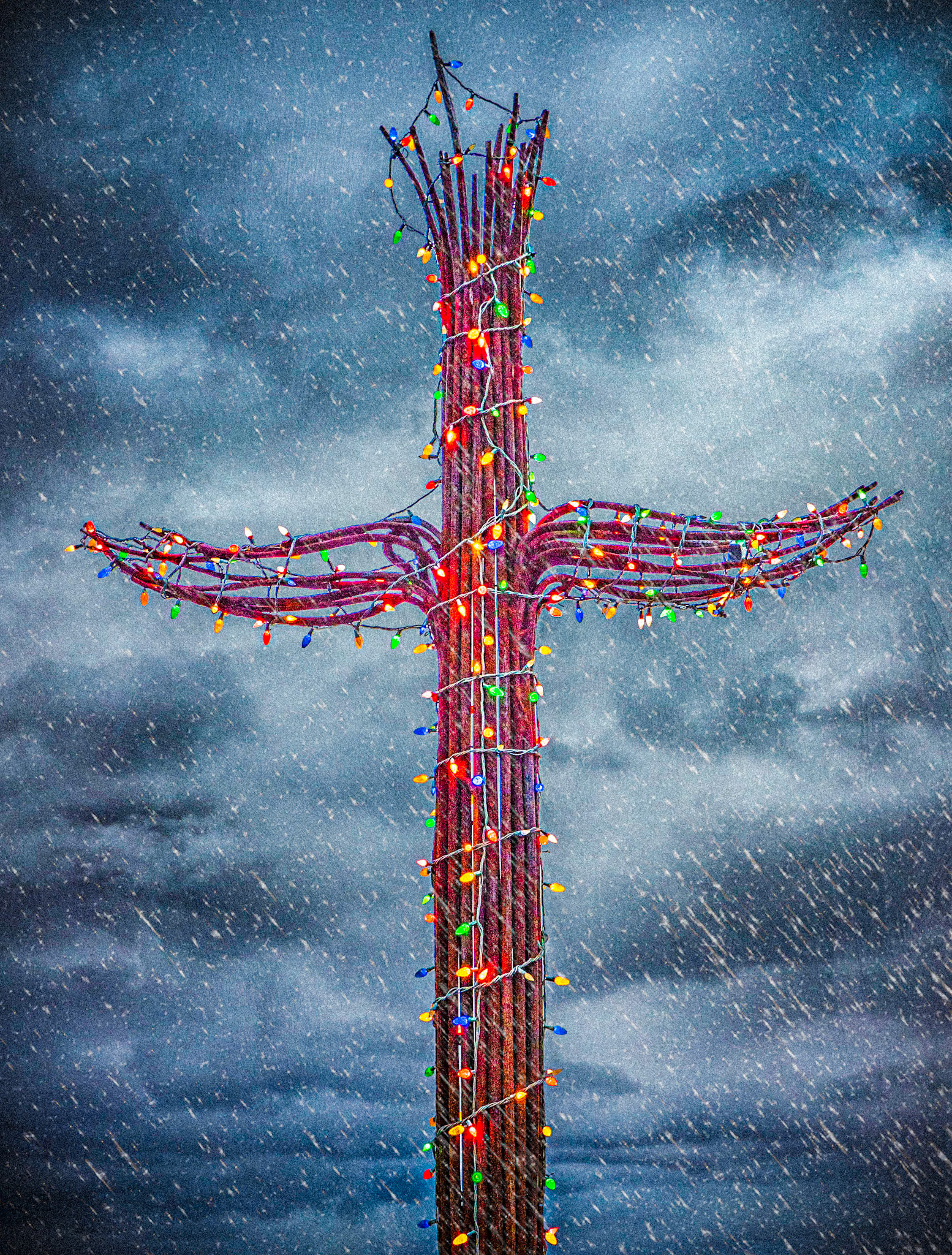 December 18, 2020Cactus lights, Tucson, AZHappy Holidays!
