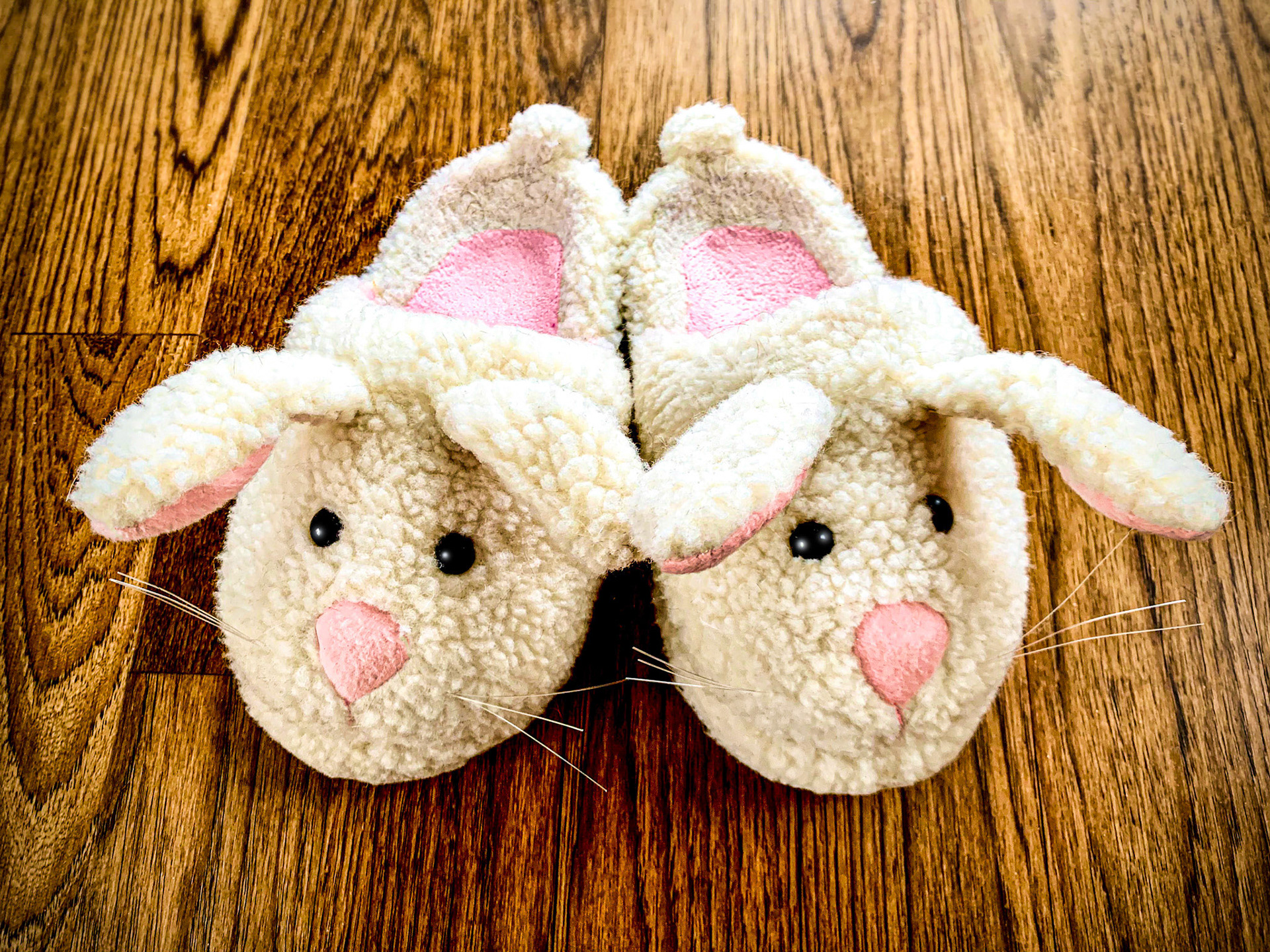 February 23, 2021My wife's bunny slippers...Originally bought as a prop for a costume, they are now her favorite slippers! Kinda hard to stifle a giggle when she pads around the house and the ears flop around...only problem is Phoebe (the cat) likes to chew on the whiskers :~(