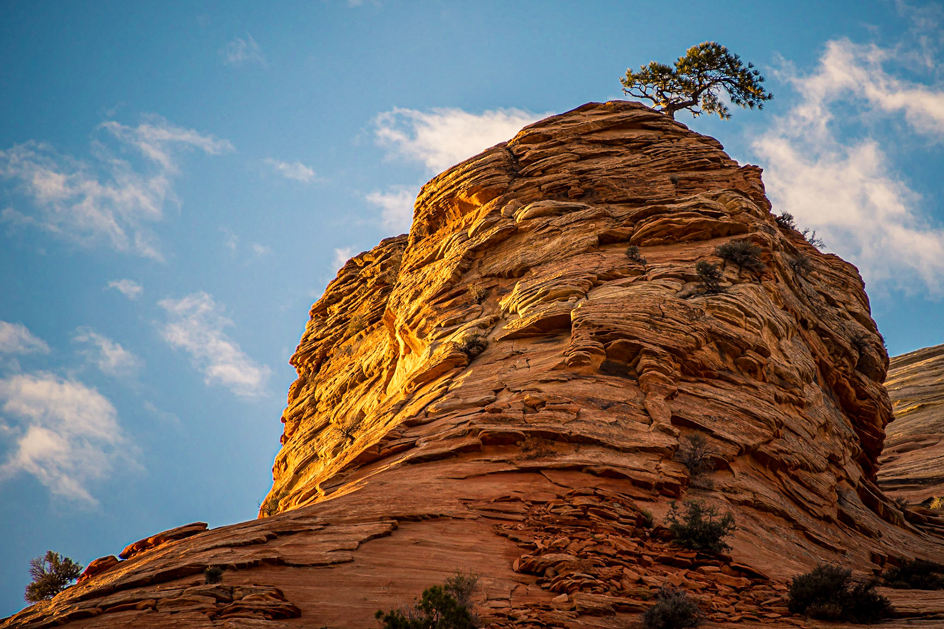 May 12, 2020Zion National Park along UT-9 on the East side near Checkerboard Mesa.