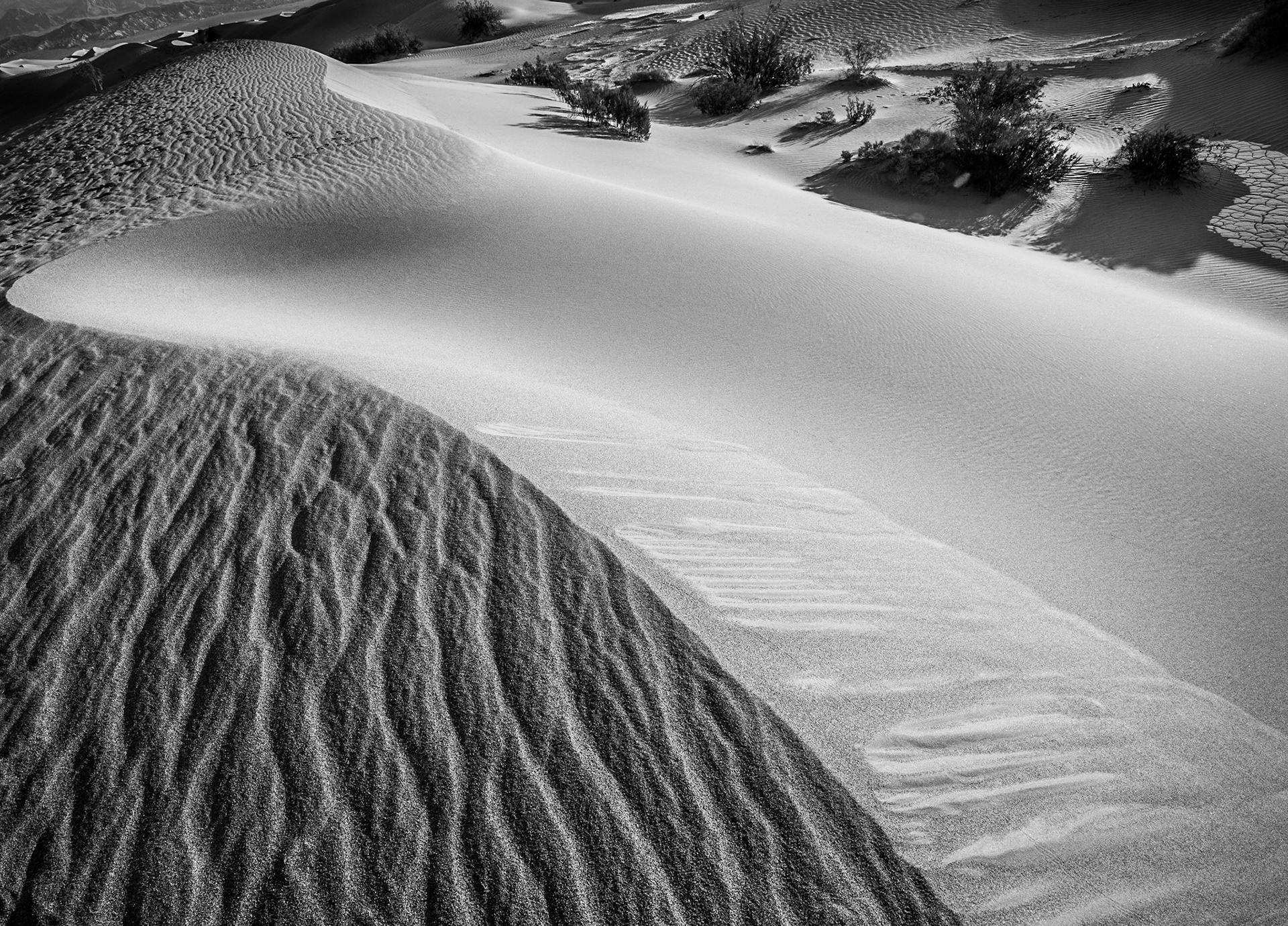 November 1, 2020Mesquite Flat Sand Dunes, Death Valley National Park.
