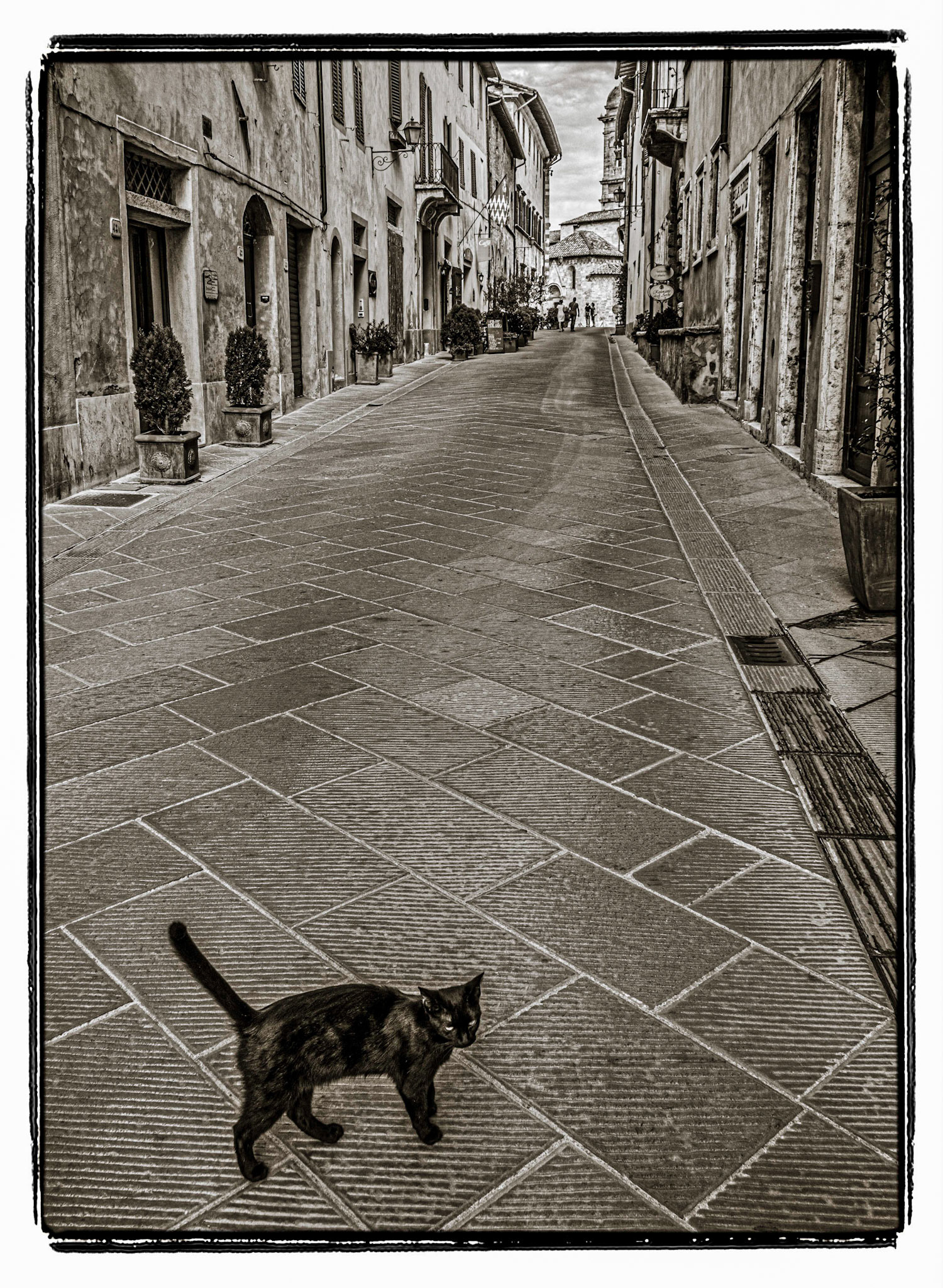 September 7, 2019Free range kitty on Via Dante Alighieri in San Quirico d'Orcia, Tuscany (Italy).