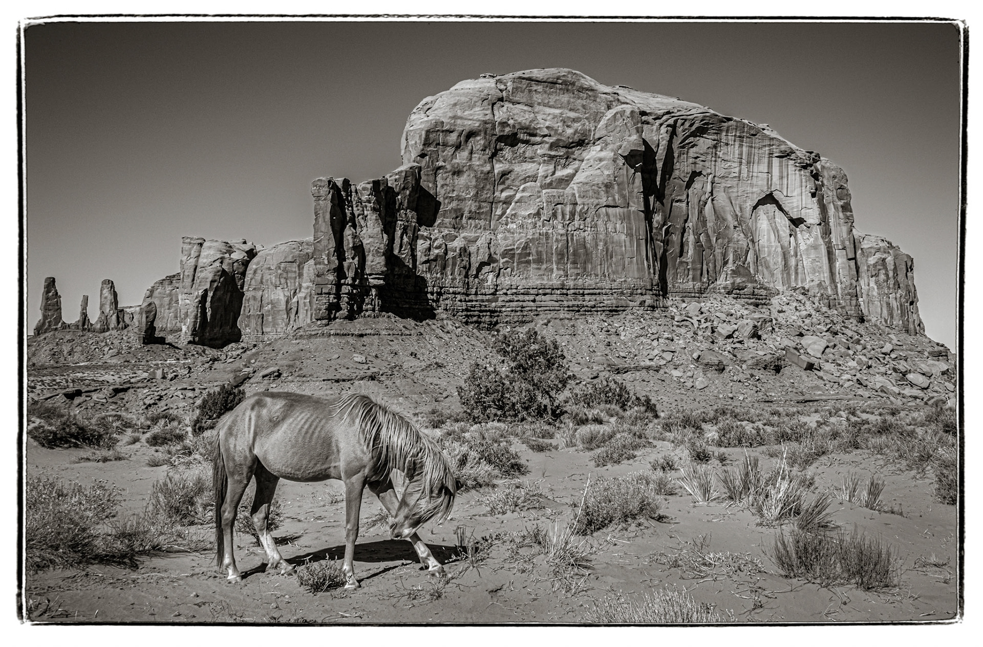 December 31, 2019Navajo pony in Monument Valley, AZ.