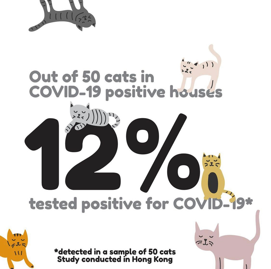 Type and Image, Fall 2020