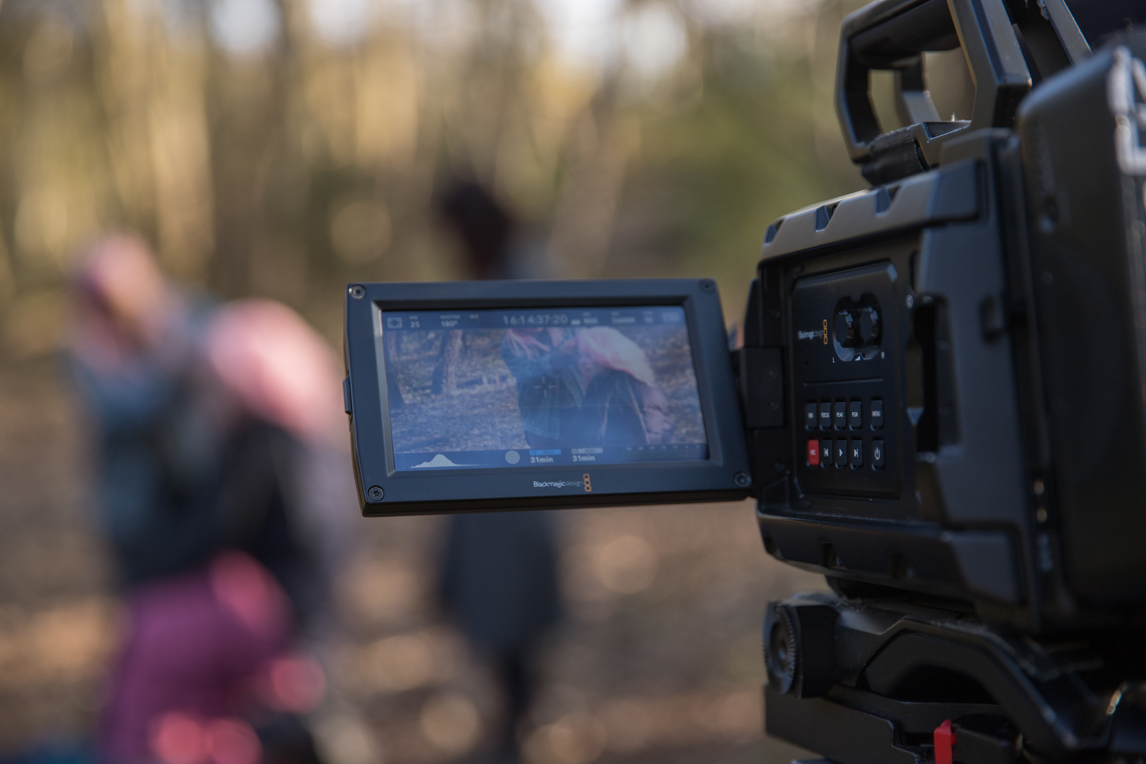 Filming Lepidopterist. Photo credit: Richard Parker