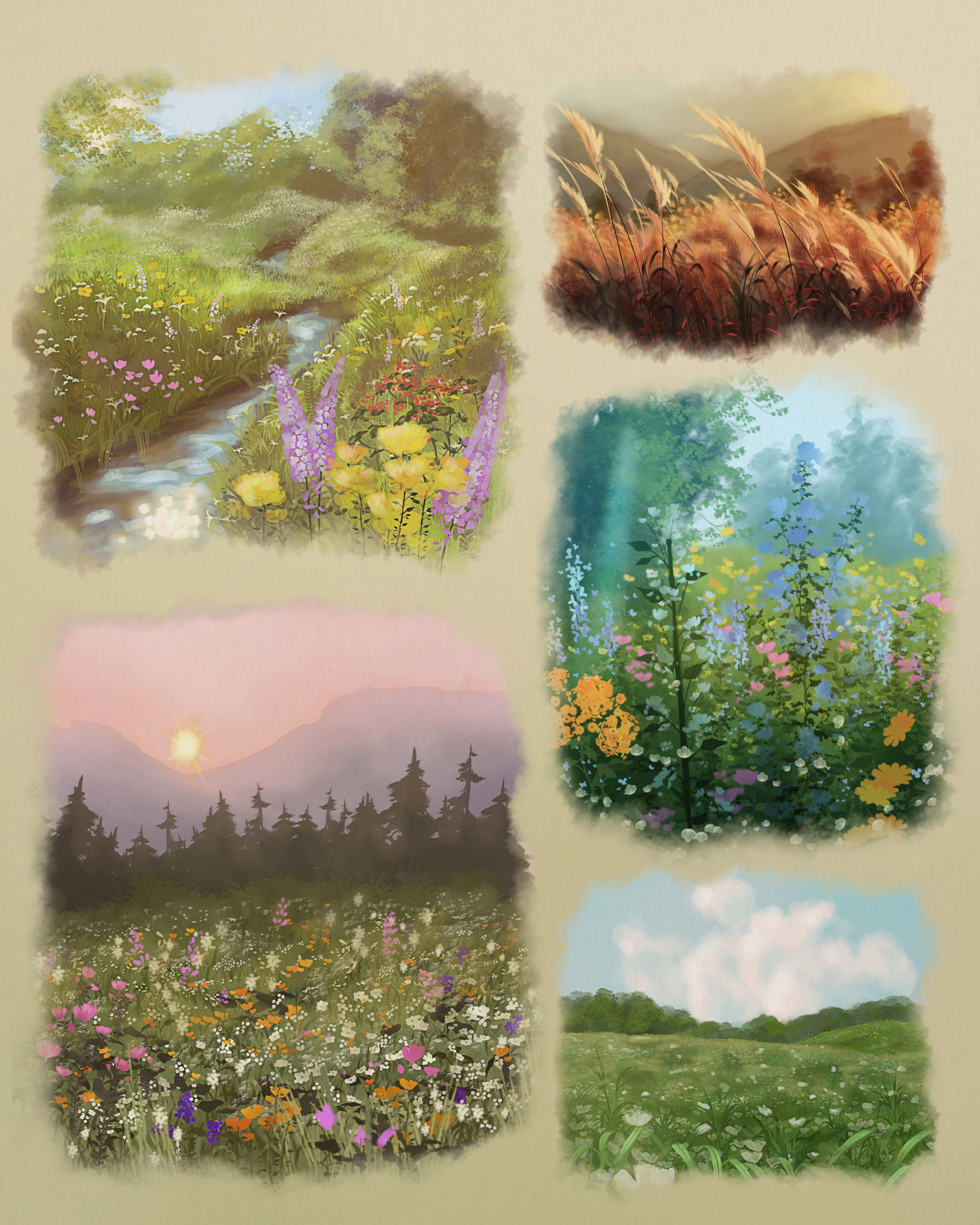 Flower Studies, 2024