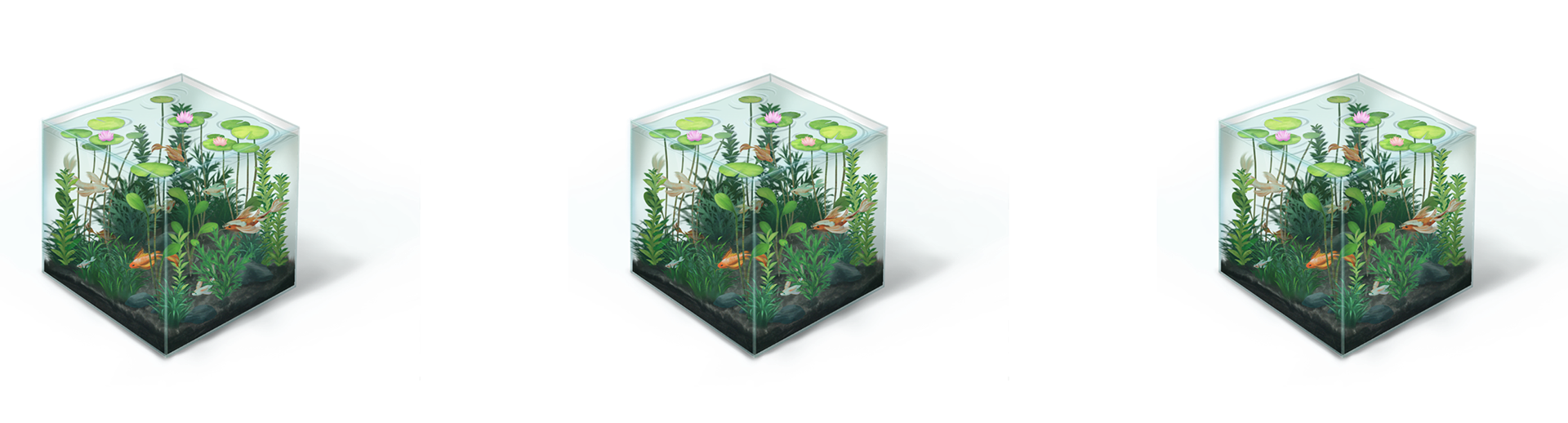 environment prop art of a koi fish tank with plants in a realistic art style