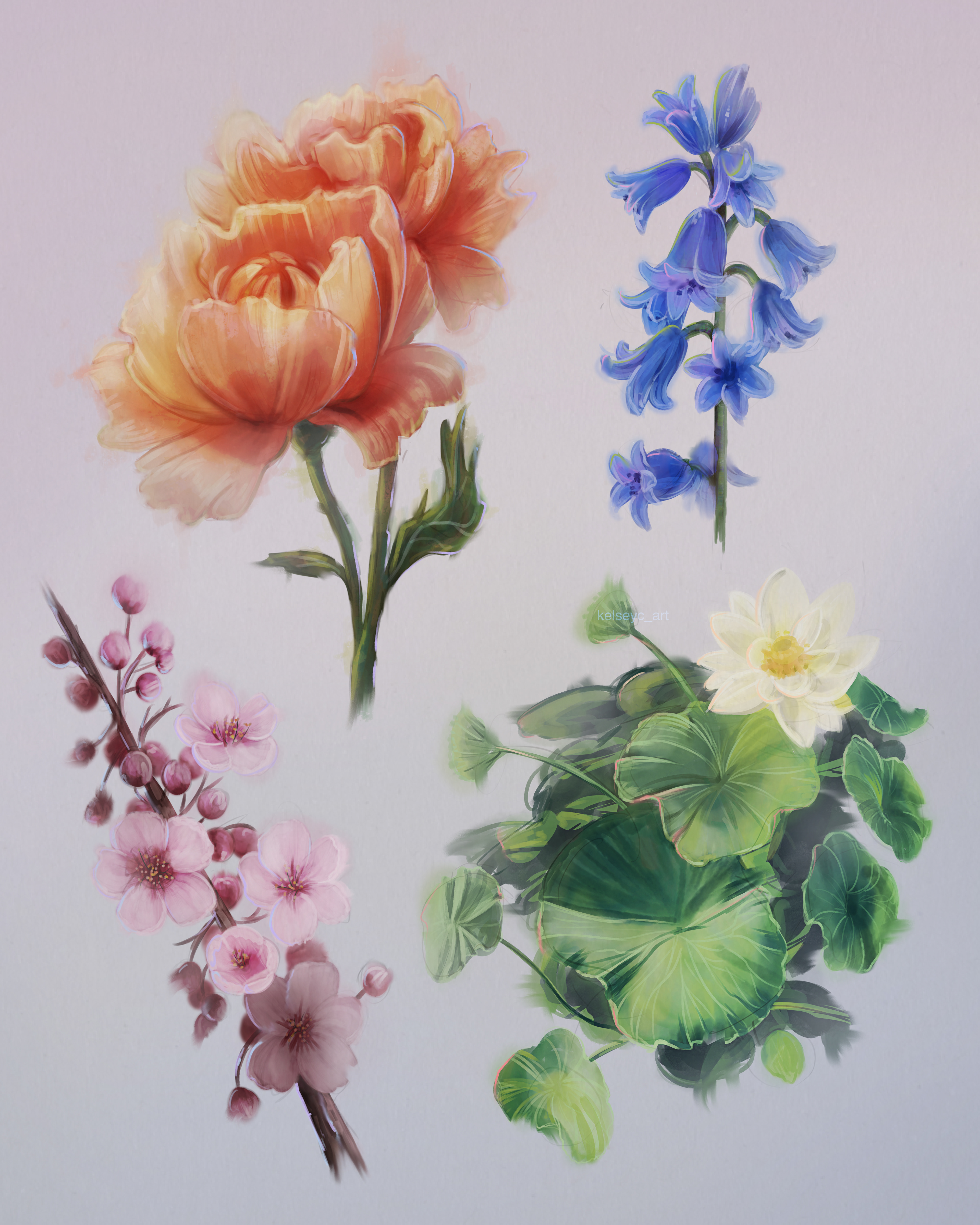 Flower Studies, 2025