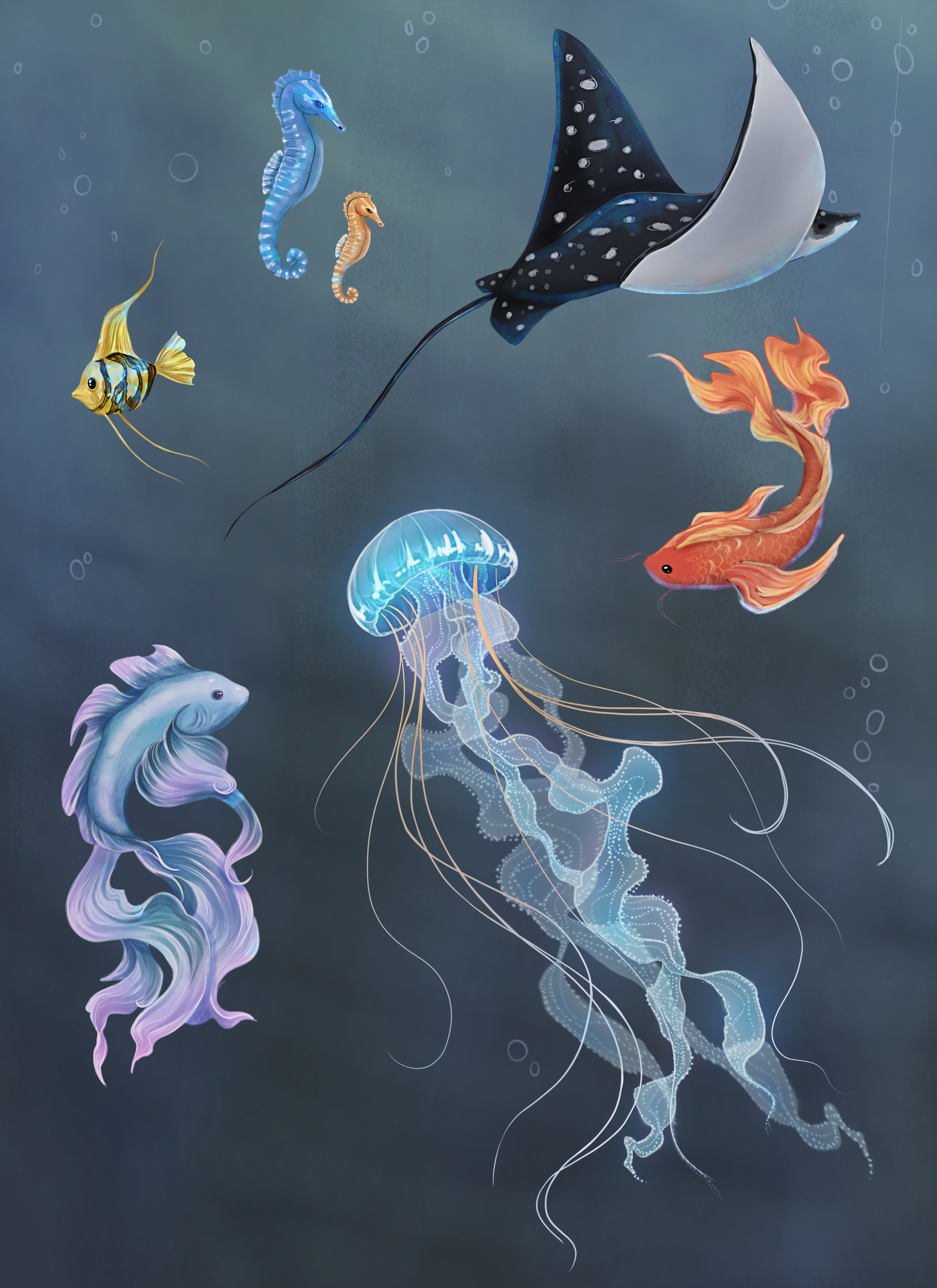 Sea Creatures, Studies, 2024