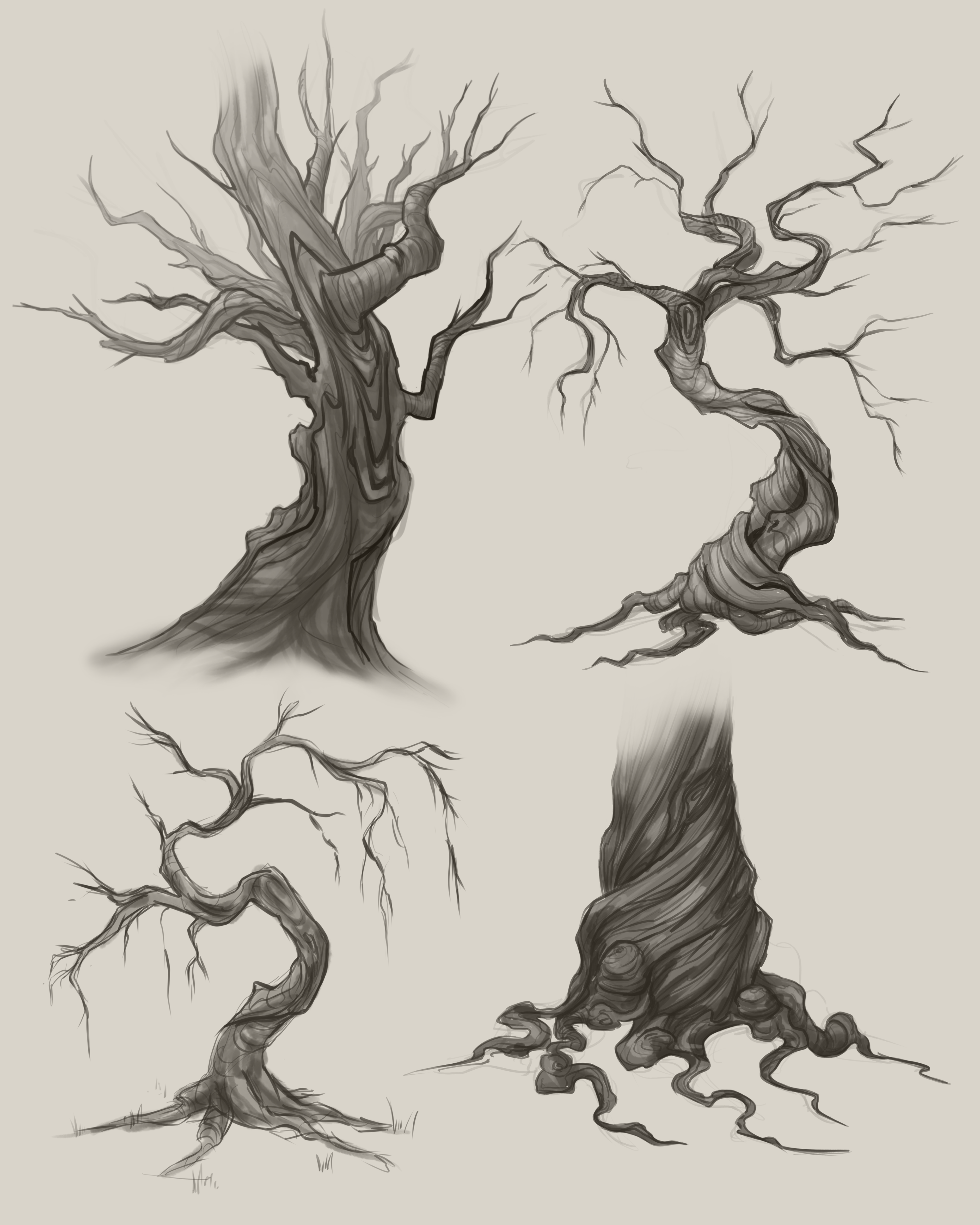 Tree Studies, 2024