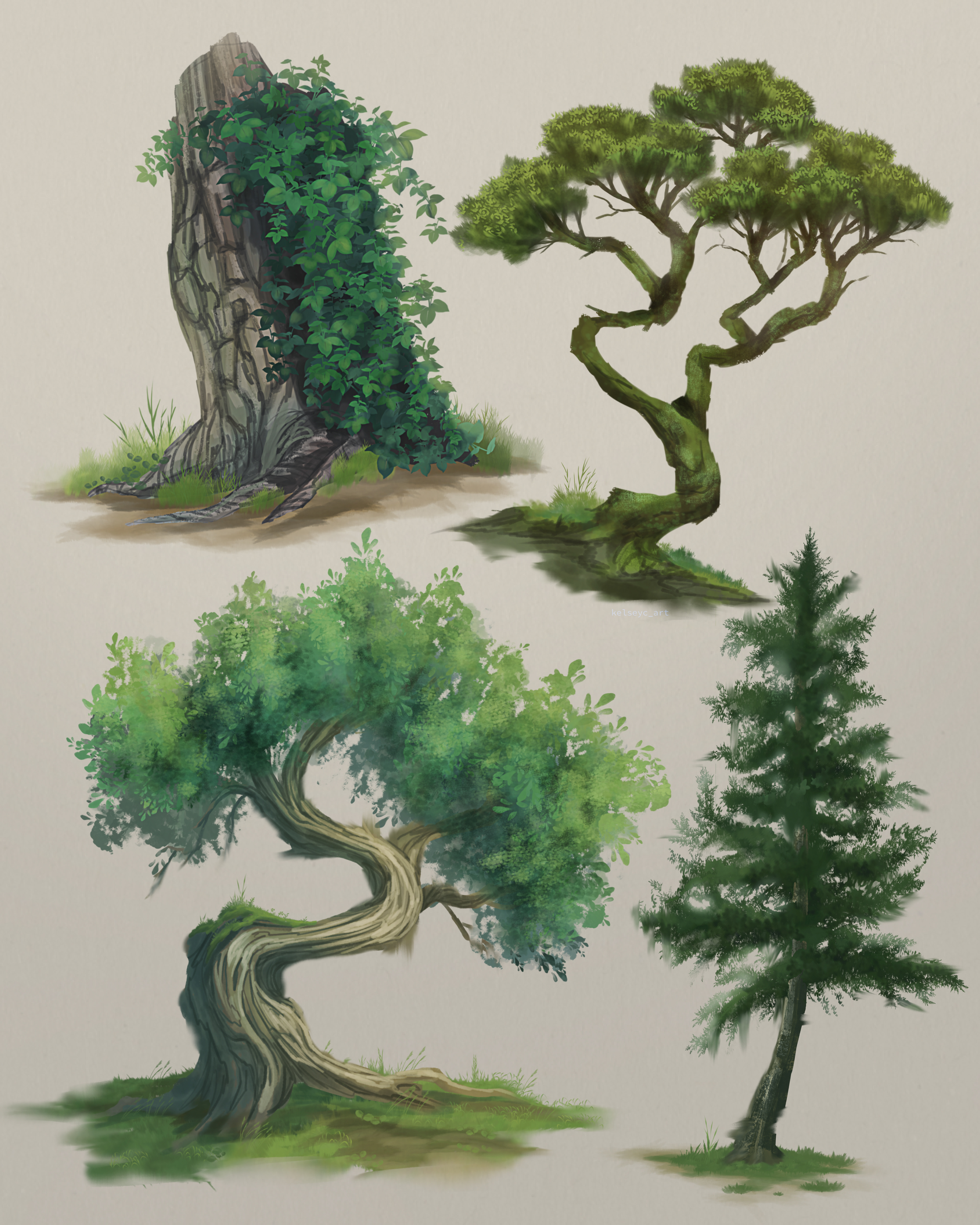 Tree Studies, 2025