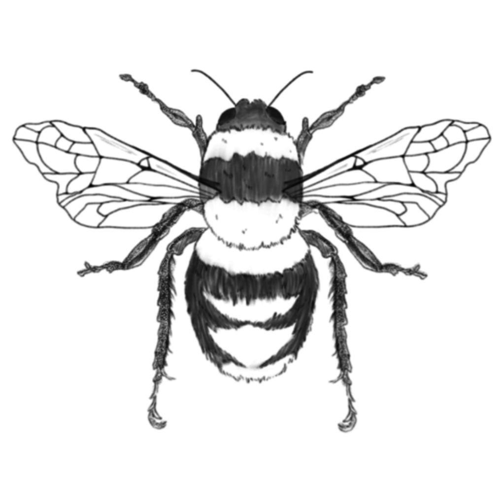 sketch of a bumble bee in a gritty alternative art style