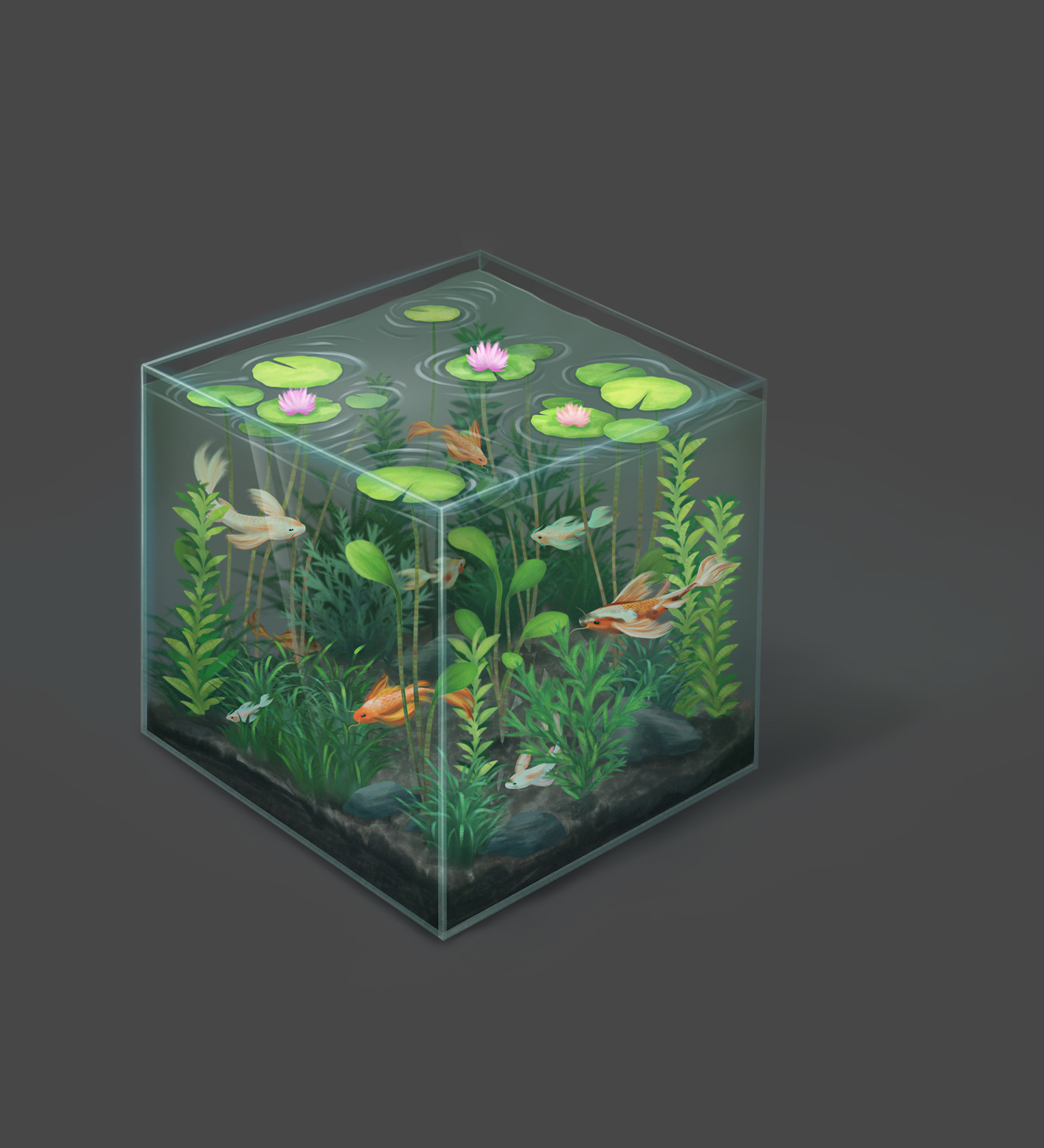 Koi Pond, 2023