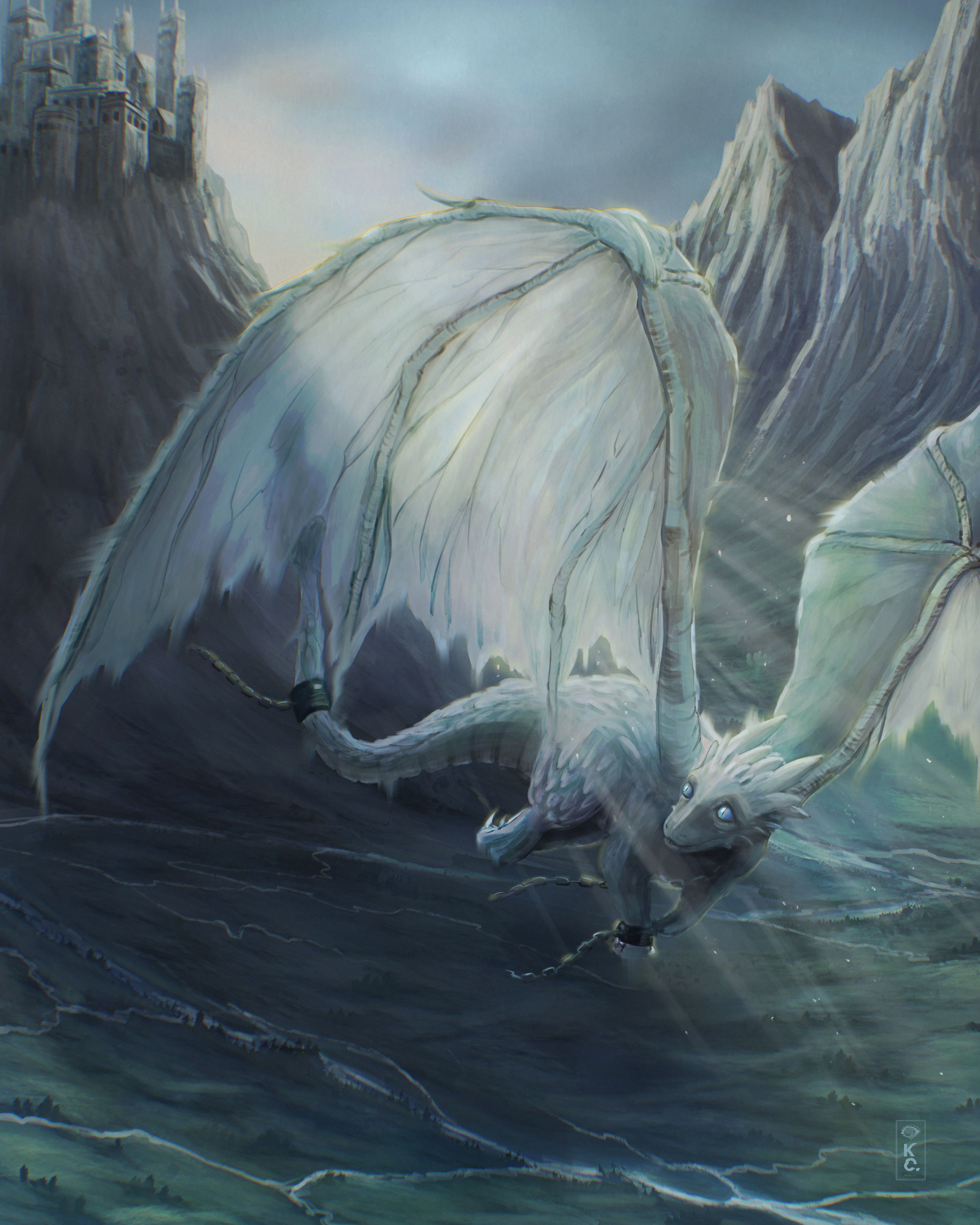 Freedom, 2025 (product available)