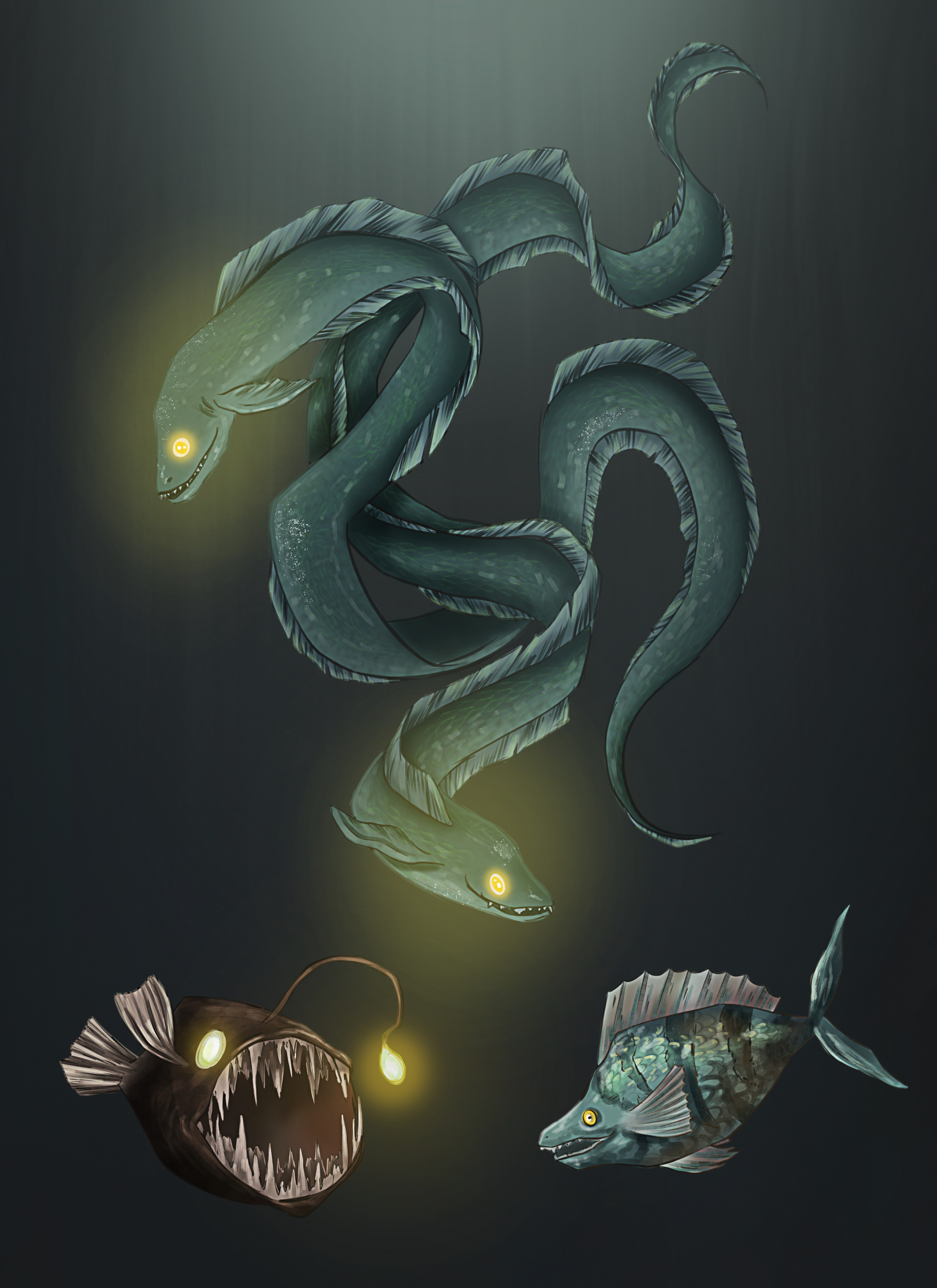 Sea Creatures, Studies, 2024