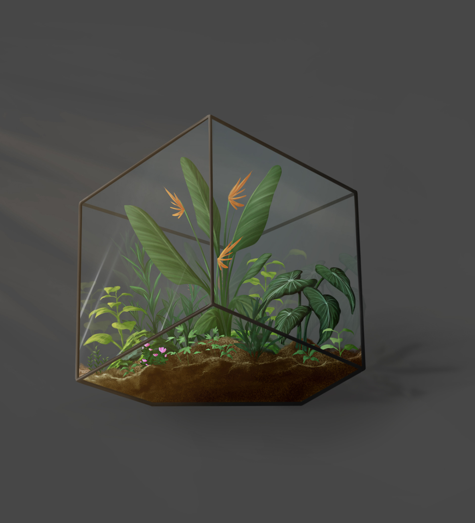 Terrarium, 2023