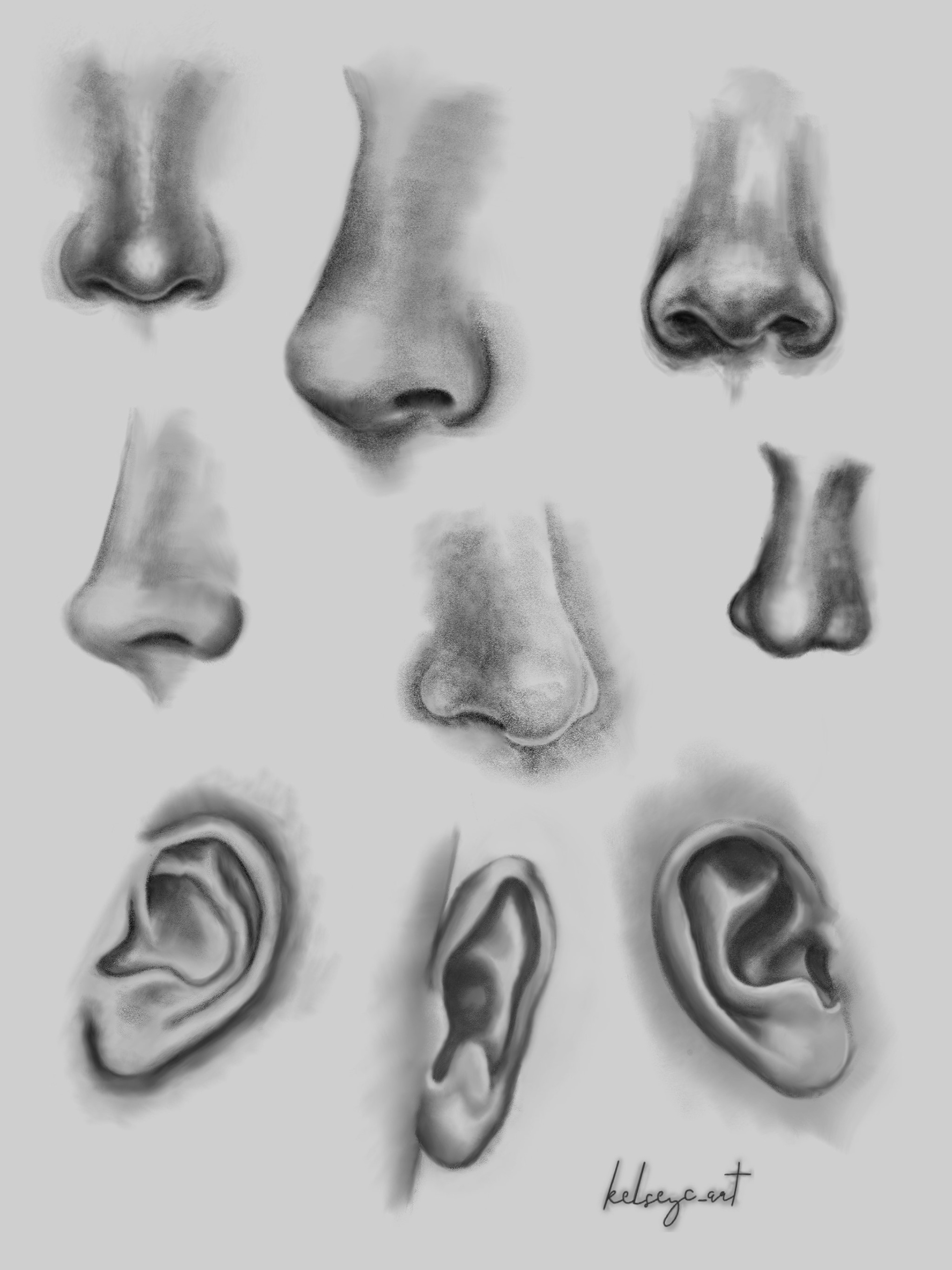 Nose Studies, 2022