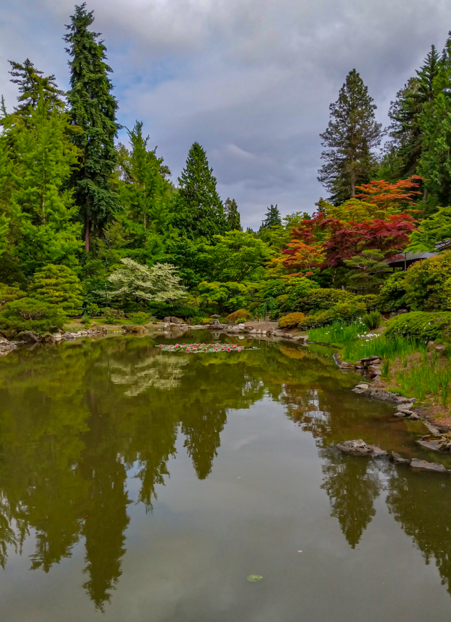 Japanese Garden - Seattle, Washington