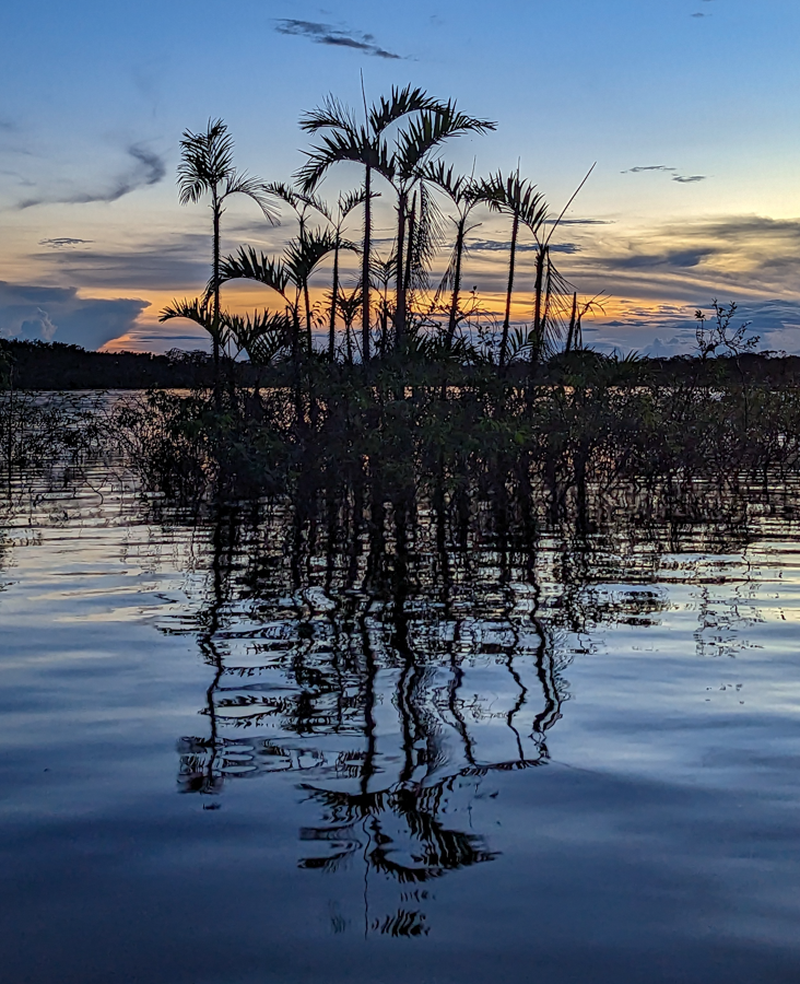 Lagoon Sunset - Amazon Basin, Ecaudor