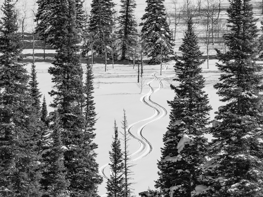 Tracks