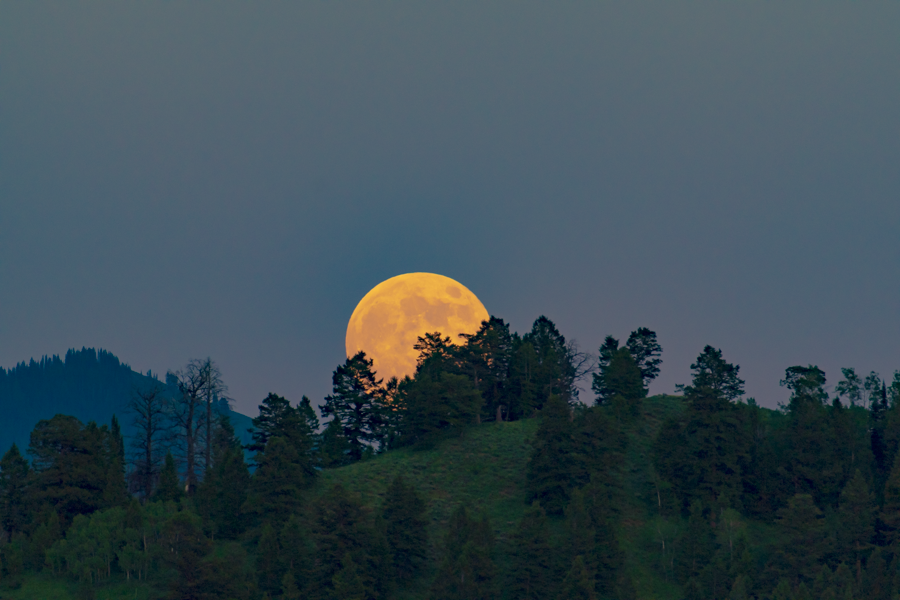 'Strawberry Moon' - Jackson, Wyoming