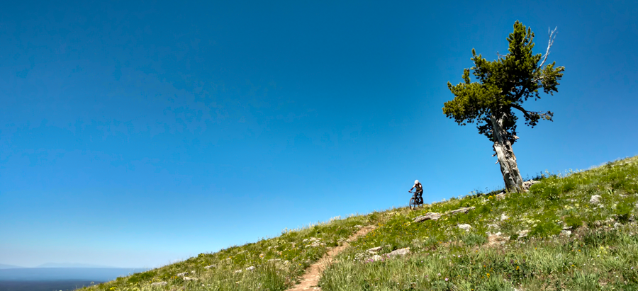 Rock Garden - Grand Targhee, Alta, Wyoming