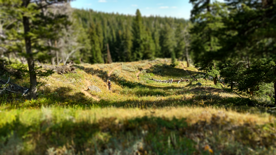 Arrow Trail - Jackson, Wyoming