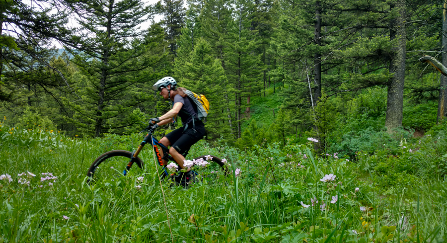Philips Ridge - Jackson, Wyoming