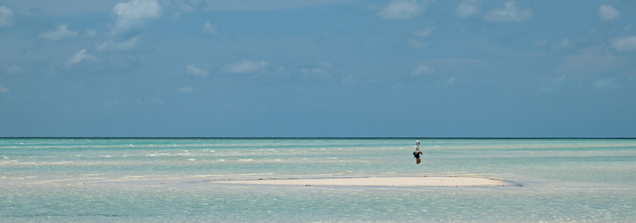 Bone Fishing - Eleuthera, Bahamas